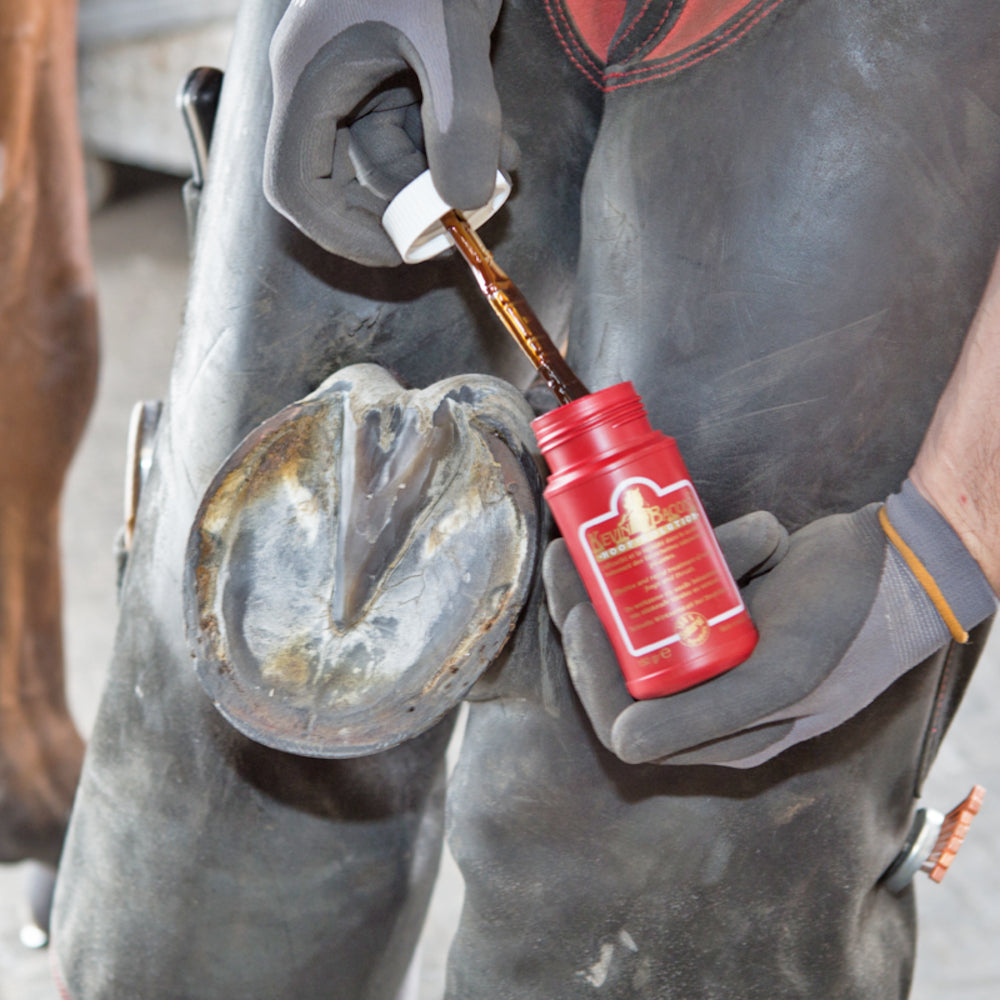 Kevin Bacon’s Hoof Solution Hufpflege