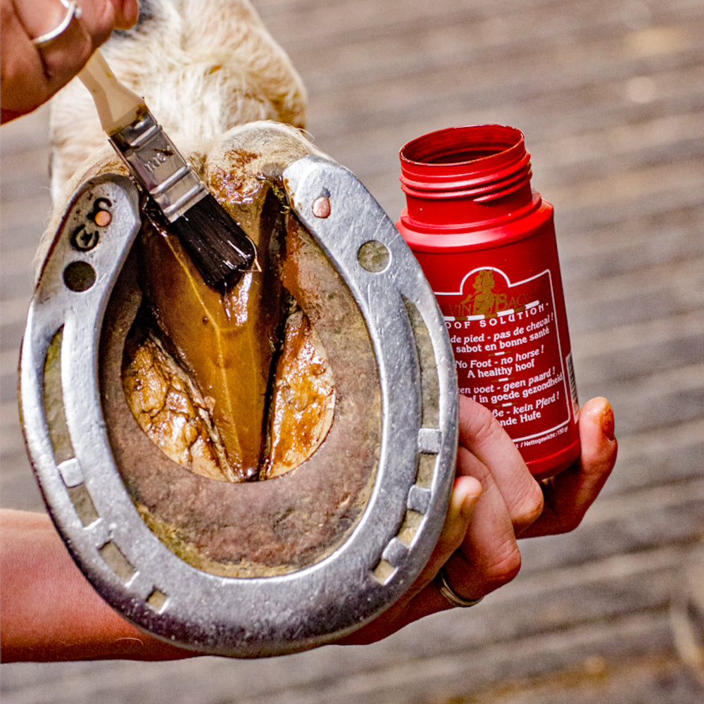 Kevin Bacon’s Hoof Solution Hufpflege