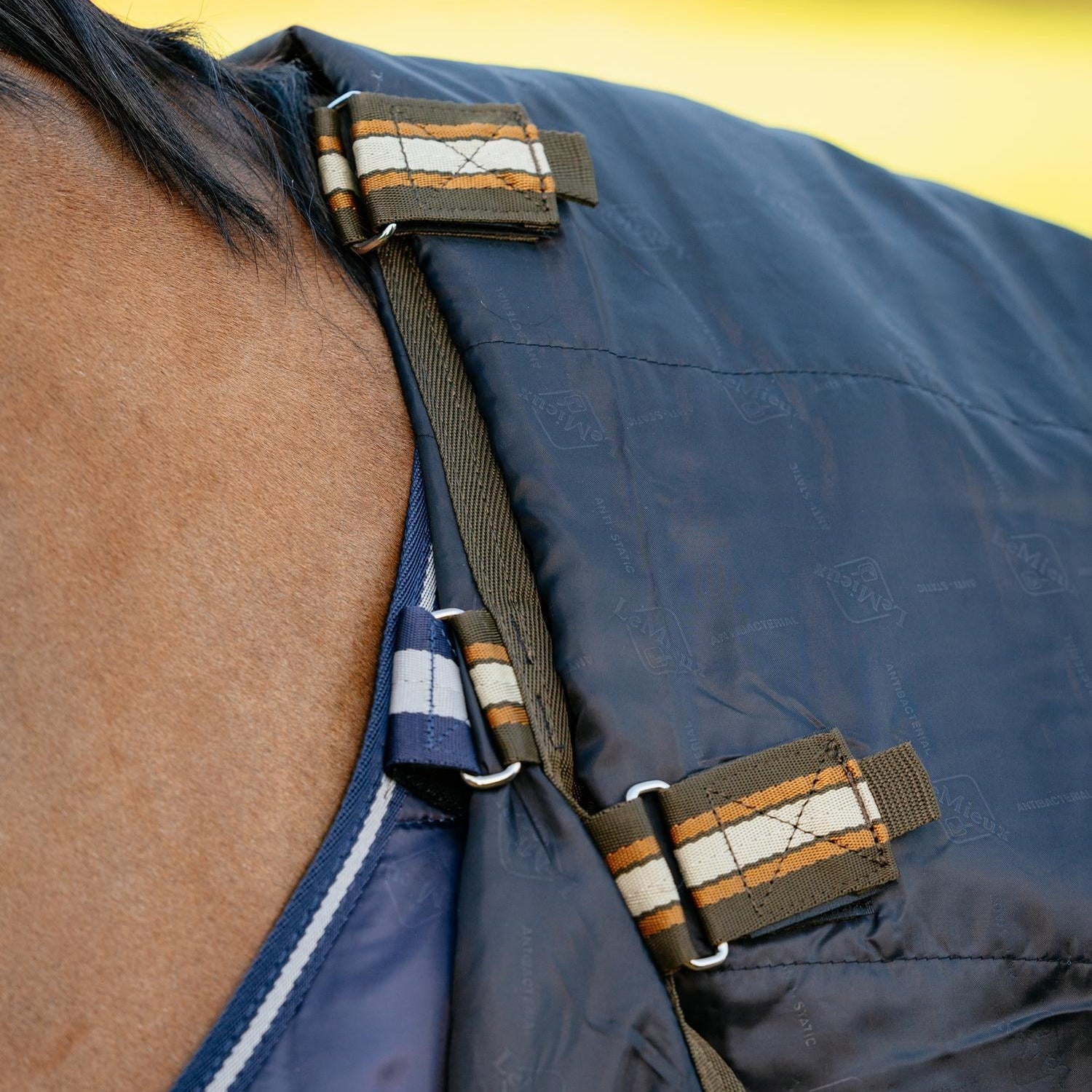 Über die Arika Liner Befestigungen am Hals und Rücken können zusätzliche Unterdecken flexibel integriert und so die Wärmeleistung an unterschiedliche Temperaturen anpasst werden.
Das Arika-Liner-System kann mit unterschiedlichen Decken von Lemieux kombiniert werden für ein gutes Decken-Management bei wechselnden Temperaturen und Bedürfnissen des Pferdes.