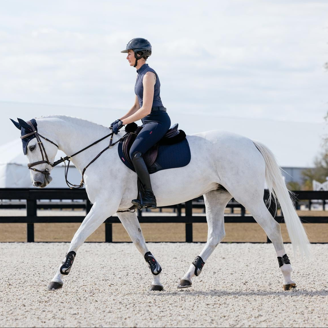 Ein weißer Schimmel im sommerlichen Training auf dem Reitplatz trägt das LeMieux Essence Set in Navy bei Sonnenschein. Während der Aufwärmphase unter der Reiterin sorgt das innovative Self-Cooling Material der Springschabracke für eine aktive Temperaturregulierung und verhindert Hitzestau. Die dunkelblaue Farbe bietet einen zeitlosen Kontrast zum hellen Fell und ist ideal für alle Pferdefarben geeignet.