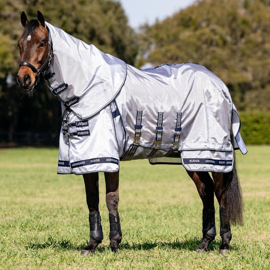 Ein Pferd trägt die silberne LeMieux Fliegendecke Kudos AeroGuard inklusive Halsteil entspannt auf der Weide. Das extrem leichte, atmungsaktive Ripshield-Mesh-Material glänzt im Sonnenlicht, reflektiert das Sonnenlicht und staut so keine Hitze unter der Sommerdecke.