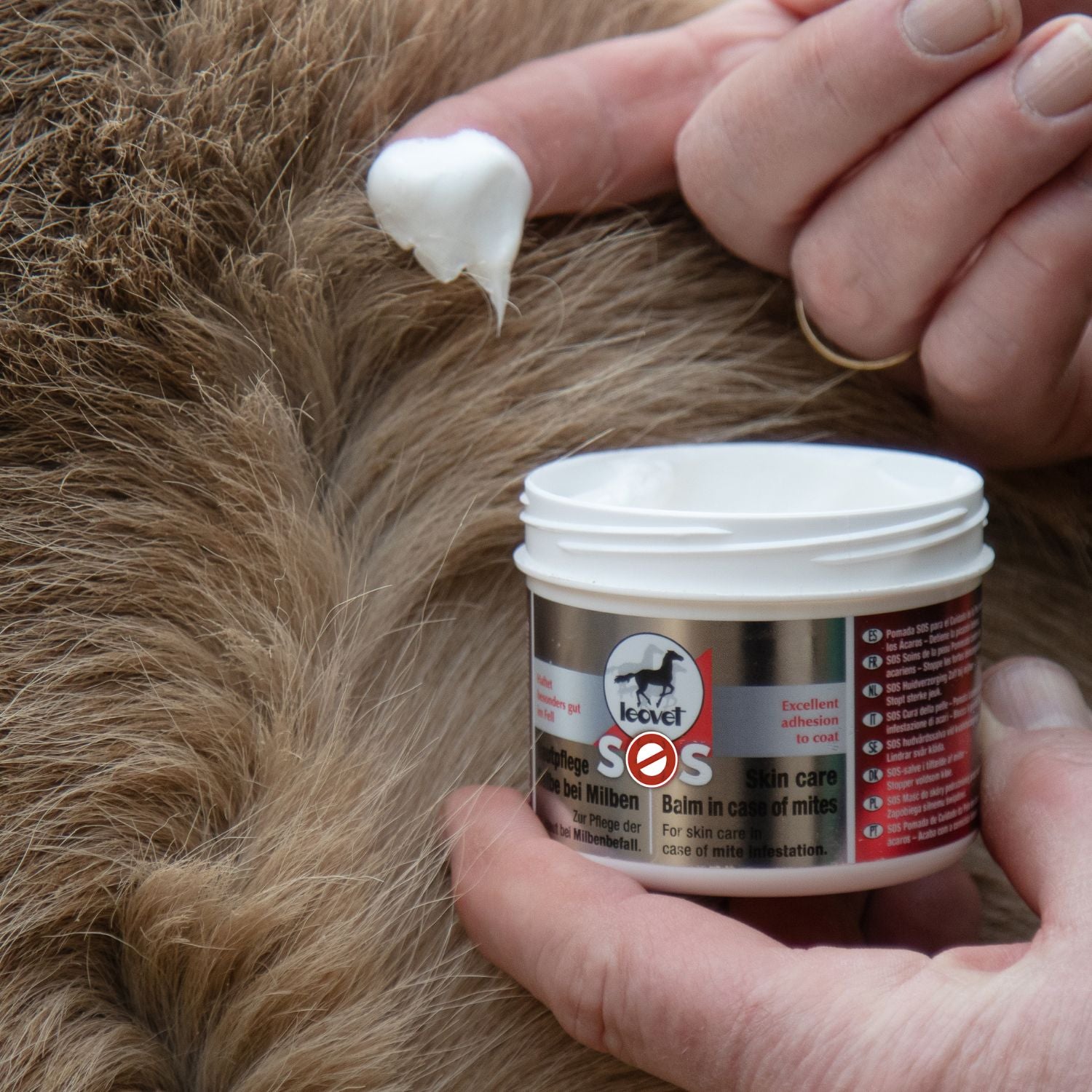 Eine Hand hält die geöffnete leovet SOS Hautpflege Salbe bei Milben fest und die andere Hand hält bereits den Zeigefinger mit der Creme zum Auftragen in das Pferdefell bereit. Das Pferdefell weist an dieser Stelle einen Haarwirbel auf, der mit der SOS Hautpflege Salbe eingeschmiert werden soll. Das Etikett der leovet SOS Hautpflege Salbe ist silbern, rot und klar zu lesen. Dieses Foto ist ein Anwendungsfoto zur Pferdepflege mit der SOS Hautpflege Salbe bei Milben von leovet.