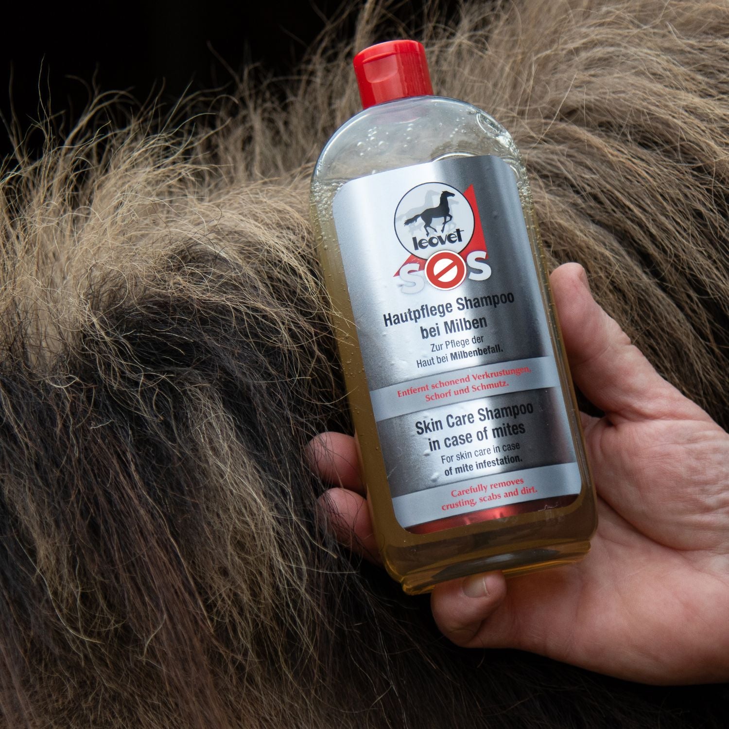 Leovet SOS Hautpflege Shampoo bei Milben
