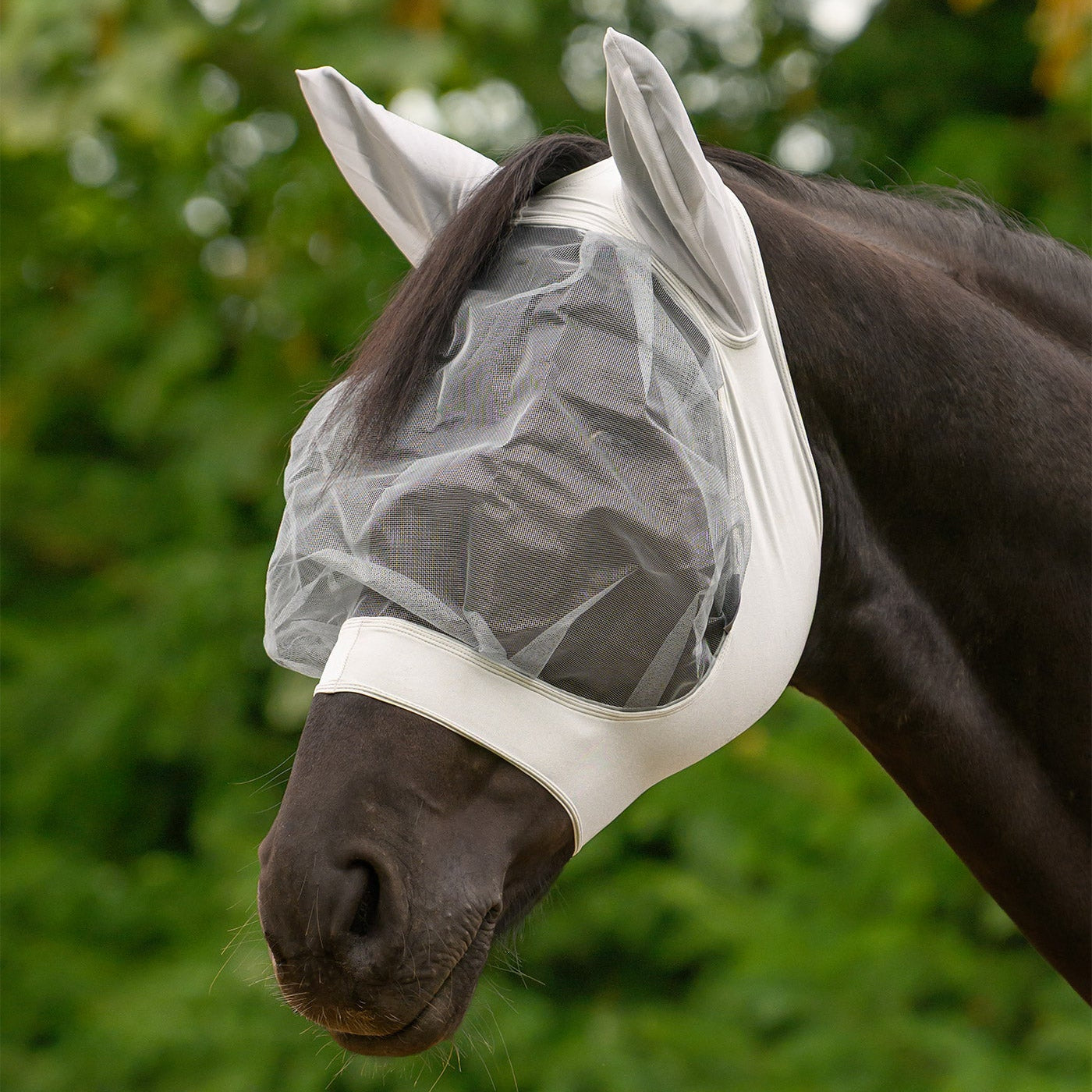 Ein Pferd trägt die silbergraue Waldhausen Fliegenmaske Skinny auf einer grünen Sommerweide. Die elastische Maske sitzt kopfnah und stabil am Pferdekopf, ohne das Tier zu stören. Durch das großzügige Augennetz mit Augenfreiheit genießt das Pferd eine gute Rundumsicht, während der Ohrenschutz mechanisch vor Fliegen und Kriebelmücken schützt.