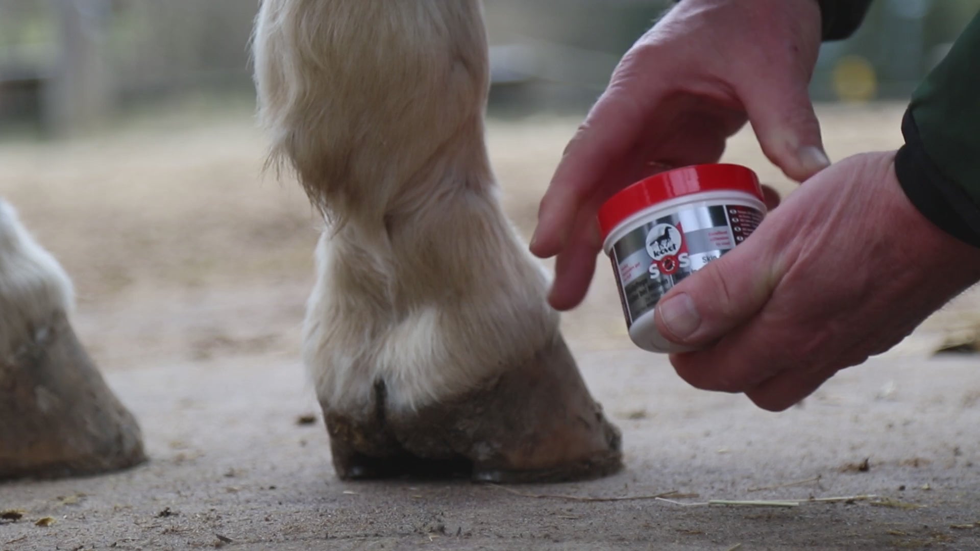 Eine Person öffnet mit der Hand den Deckel der leovet SOS Hautpflege Salbe bei Milben und zeigt den Inhalt der weißen Creme. Daneben ist ein Pferdehuf zu sehen. Die Hand schmiert die Creme in die Fesselbeuge des Pferdebeines.Die weiße Creme haftet in der Fesselbeuge. In der zweiten Szene schmiert die Hand die leovet SOS Hautpflegesalbe in die Flanke eines braunen Pferdes. Die weiße Creme hafte im Fell.
