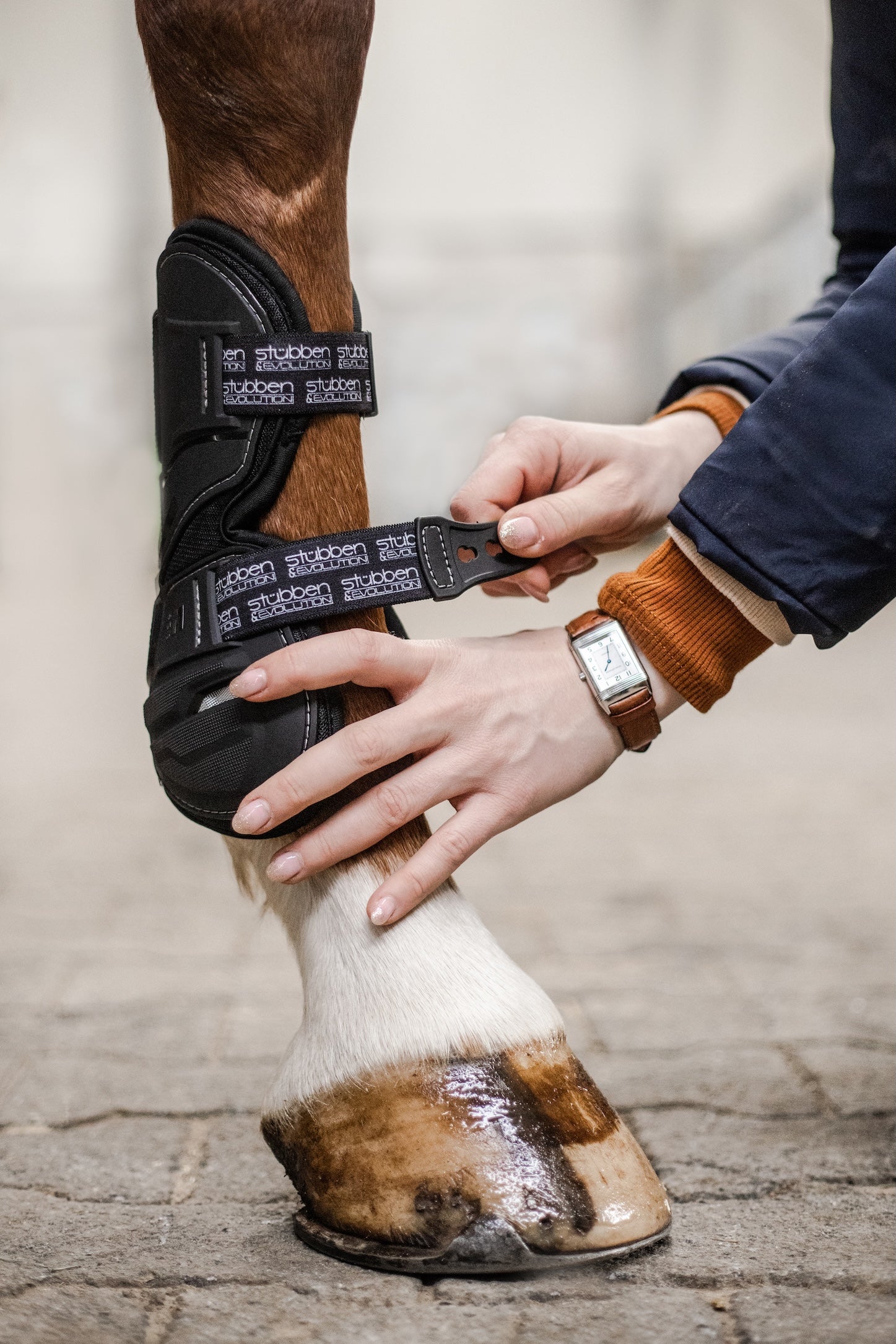 In einer Detailaufnahme vor dem Springtraining wird gezeigt, wie eine Reiterin die Stübben Hybrid Springgamasche korrekt am Pferdebein anlegt und den elastischen Verschluss mittels des stabilen Metall-Pins im Schnellverschluss-System sicher fixiert. Diese Szene verdeutlicht die einfache und präzise Handhabung der Evolution-Serie, die einen optimalen Sitz der Gamasche sowie eine ungehinderte Durchblutung des Beins durch die elastischen Riemen gewährleistet.