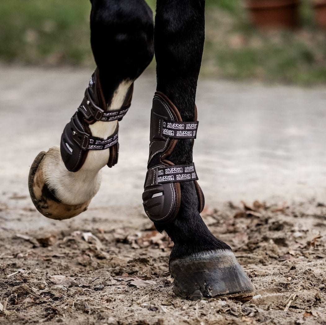 In der Trabphase auf einem Sandplatz zeigt der Fokus auf die Vorderbeine eines Pferdes, wie sich die schwarzen Stübben Hybrid Springgamaschen dank des innovativen Designs der Gelenkbewegung anpassen und im Gegensatz zu starren Hartschalengamaschen volle Bewegungsfreiheit bei gleichzeitiger Belüftung durch technische, atmungsaktive Materialien bieten.