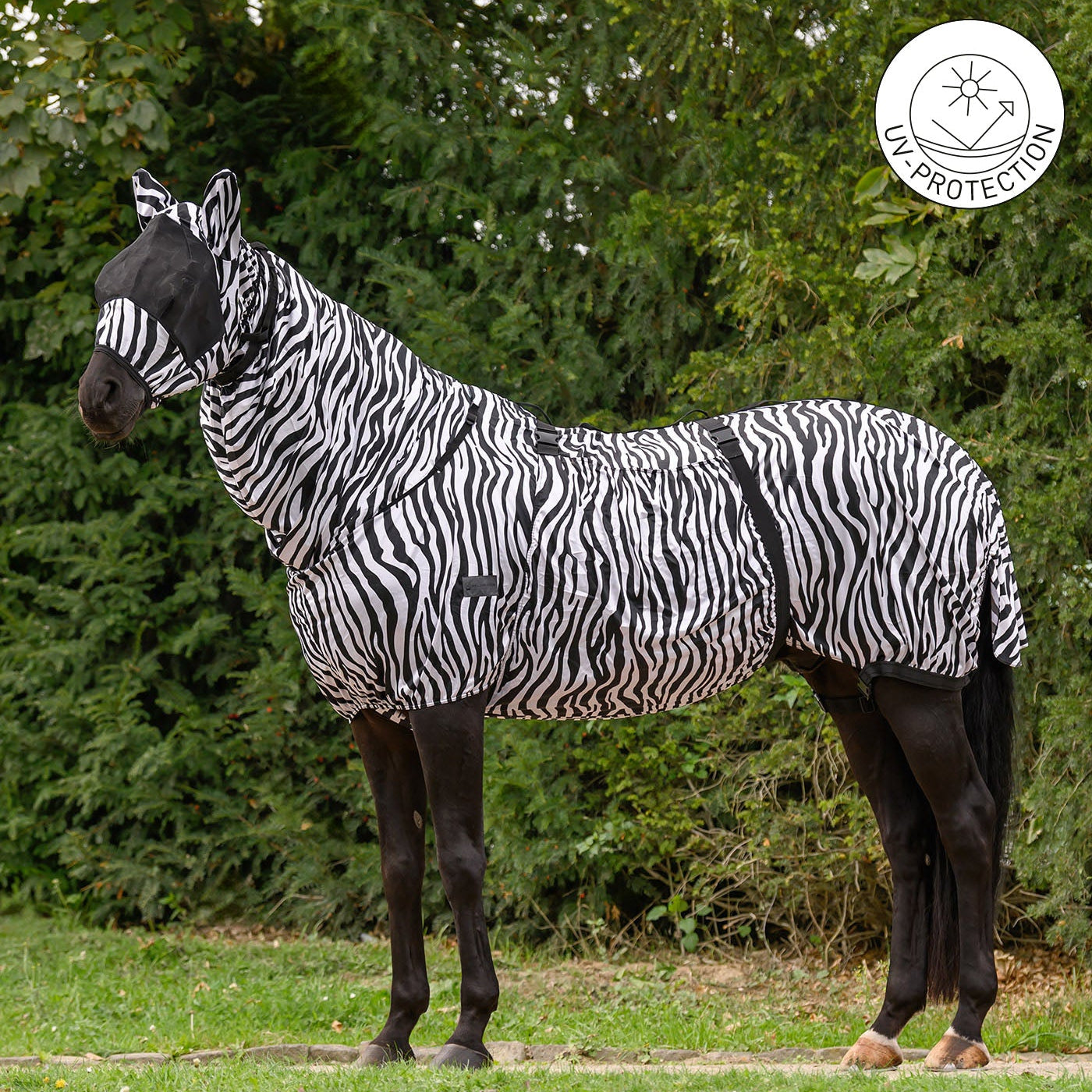 Seitenansicht der gestreiften Waldhausen Ekzemerdecke Zebra Premium in schwarz-weiß am Pferd auf einer Weide, ergänzt durch ein UV-Schutz-Logo. Der dünne, helle Funktionsstoff reduziert die UV-Strahlung und verhindert Hitzestau durch Sonnenlicht, sodass Pferde die Zeit im Freien auf Paddock oder Koppel genießen können. Ein breiter Bauchlatz für die Bauchnaht, das feste Halsteil für die Mähne und der Schweiflatz bieten mechanischen Rundum-Fliegenschutz, der Kriebelmücken effektiv abwehrt.