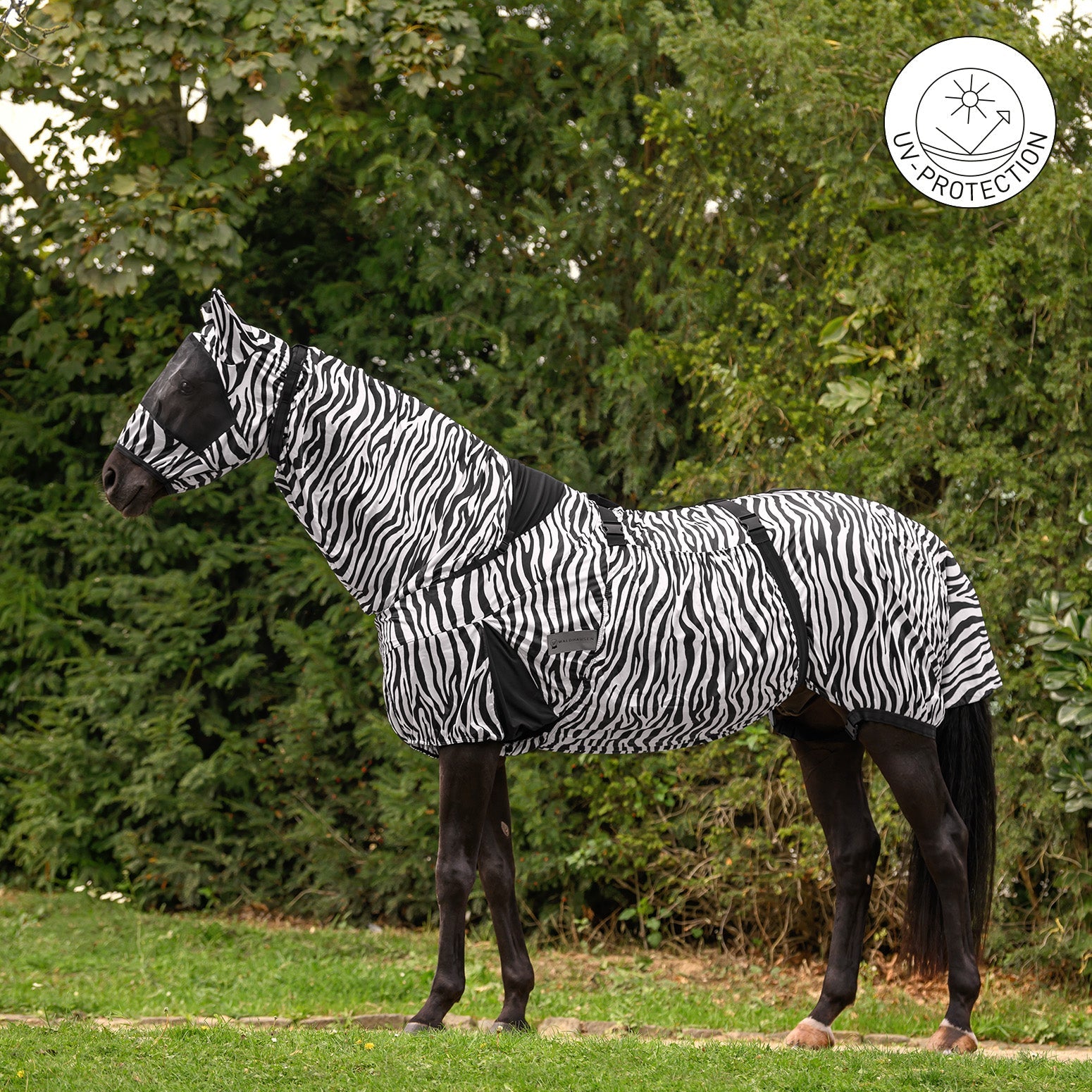 Seitenansicht der gestreiften Waldhausen Ekzemerdecke Zebra Premium in schwarz-weiß am Pferd auf einer Weide, ergänzt durch ein UV-Schutz-Logo. Der dünne, helle Funktionsstoff reduziert die UV-Strahlung und verhindert Hitzestau durch Sonnenlicht, sodass Pferde die Zeit im Freien auf Paddock oder Koppel genießen können. Ein breiter Bauchlatz für die Bauchnaht, das feste Halsteil für die Mähne und der Schweiflatz bieten mechanischen Rundum-Fliegenschutz, der Kriebelmücken effektiv abwehrt.