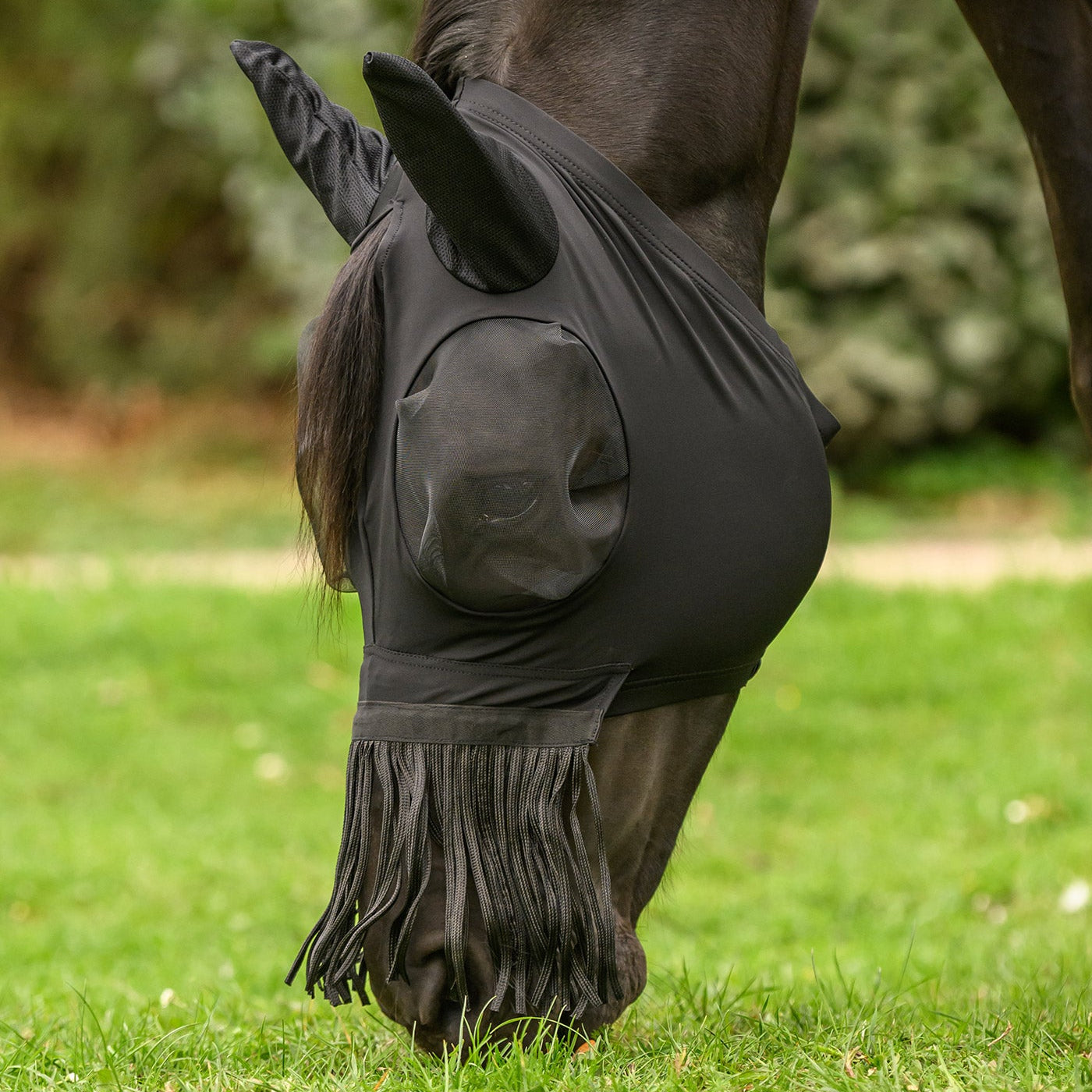 Waldhausen Fliegenmaske Puck mit Nasenfransen auf einem Pferd mit geneigtem Kopf beim Grasen auf der Sommerweide. Die elastische, leichte Fliegenschutzmaske gewährt volle Bewegungsfreiheit für Pony und Pferd. Die langen Nasenfransen hängen über das Pferdemaul, ohne beim Fressen oder Trinken an der Tränke zu stören. Durch den klassischen Schopfdurchlass zwischen den Ohren wird der Pferdeschopf nach außen gezogen, sodass das Langhaar auf dem Bild locker herabhängt und sich nicht unter der Maske staut.