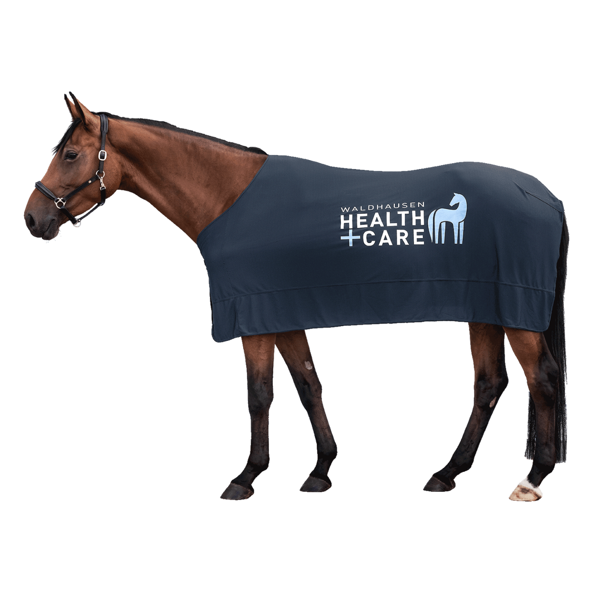 Braunes Pferd im Profil mit der dunkelblauen Waldhausen Health + Care Ice-Layer Kühldecke und weißem Logo-Print in der Seitenansicht. Die innovative Verdunstungsdecke sorgt für gleichmäßige Kühlung bei Sommerhitze und unterstützt die Regeneration sowie Pferdewellness nach anstrengendem Training beim Reiten.