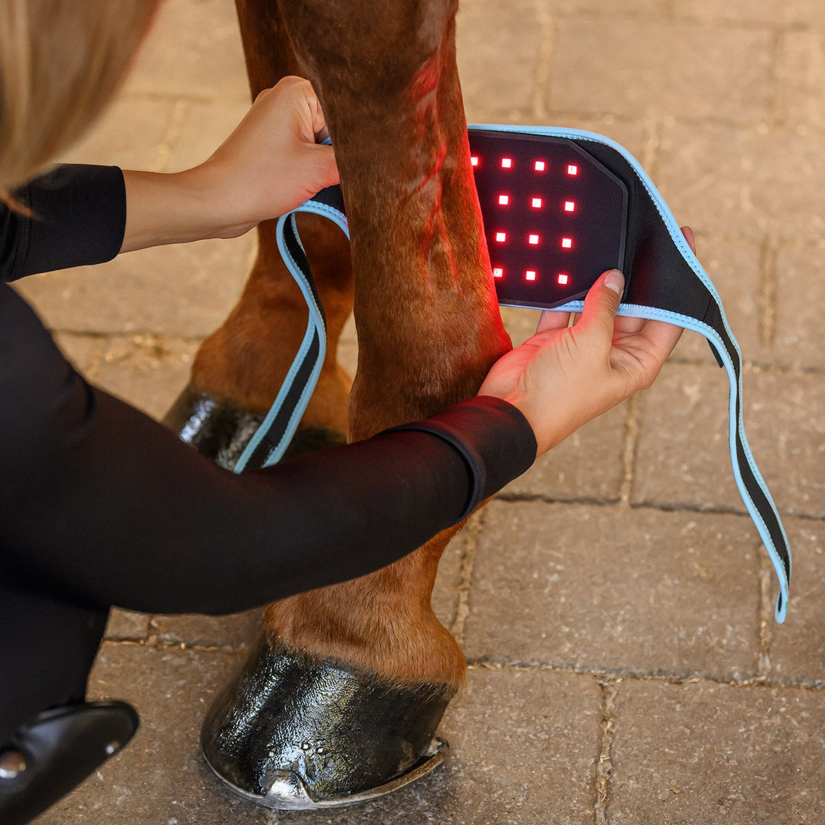 Anlegen des Waldhausen Health + Care Infrared FlexPads am Pferdebein im Stall: Die Hände platzieren das flexible Pad mit der rot leuchtenden Infrarot-Kontaktfläche (660 nm und 850 nm) vorsichtig am Bein oberhalb der Fessel. Über die zwei langen Befestigungsstraps mit Klettverschluss wird das wärmende Pad mit Vibrationsfunktion passgenau fixiert – ideal zur Vorbereitung vor dem Training oder als entspannendes Pflegeritual im Stallalltag.
