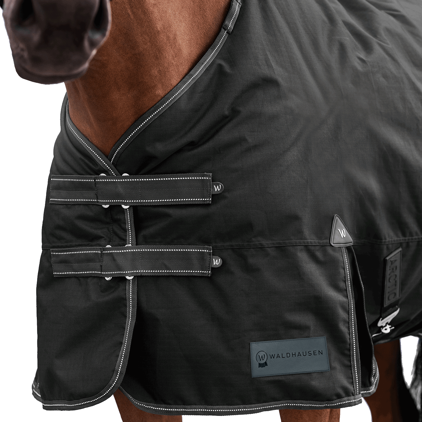 Detailaufnahme des doppelten Brustverschlusses der Waldhausen Outdoordecke Arctic 50 g in Schwarz. Die robusten T-Verschlüsse sind mit Klettabdeckungen geschützt, und können ein Hängenbleiben im Offenstall oder Paddock reduzieren. Der doppelte Brustverschluss ermöglicht einfaches Ein- und Ausdecken von Pferd oder Pony. Reflektierende Kontrastnähte in Weiß auf den Klettlaschen und dem Einfassband erhöhen die Sichtbarkeit bei Dunkelheit.