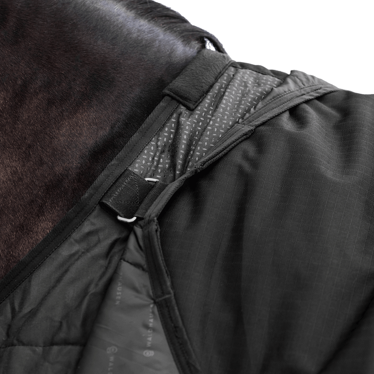 Detailaufnahme des Waldhausen-Clip-In-Deckensystems der Outdoordecke Arctic 50 g in Schwarz im Schulterbereich von Pferd oder Pony. Integrierte Ösen und Ringe ermöglichen das flexible Befestigen separater Unterdecken, um die Wärmeleistung individuell an wechselnde Temperaturen im Herbst und Winter anzupassen. Die funktionale 600D-Ripstop-Pferdedecke bietet als modulare äußere Deckenkomponente maximale Flexibilität im Stallalltag.