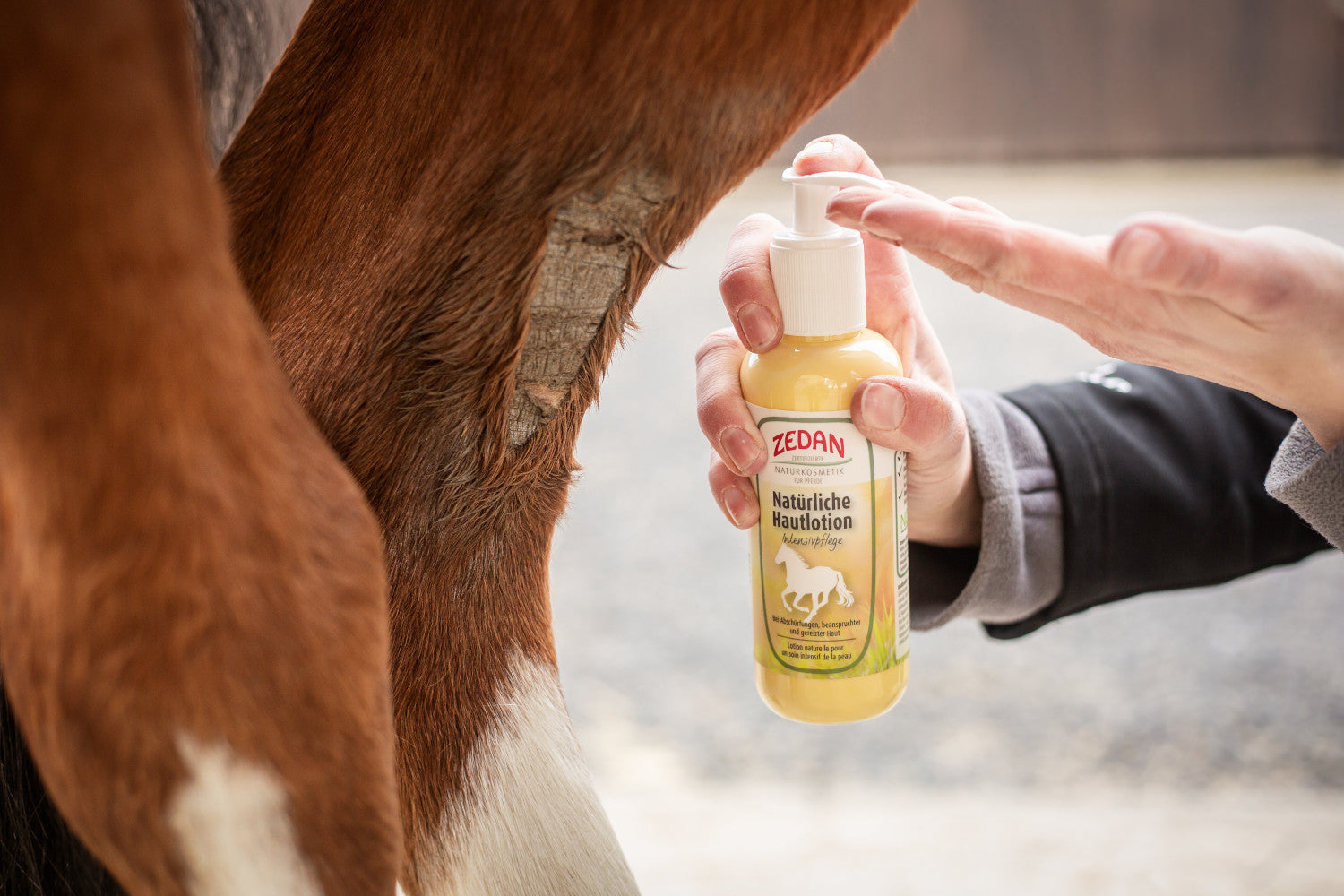 ZEDAN Natürliche Hautlotion Intensivpflege bei Abschürfungen, beanspruchter und gereizter Haut - ePony Reitsport
