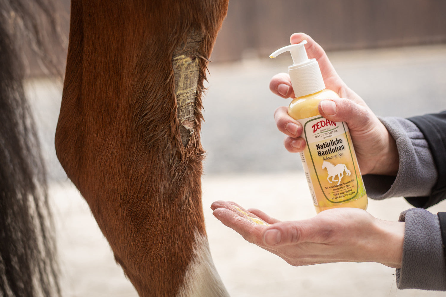ZEDAN Natürliche Hautlotion Intensivpflege bei Abschürfungen, beanspruchter und gereizter Haut - ePony Reitsport