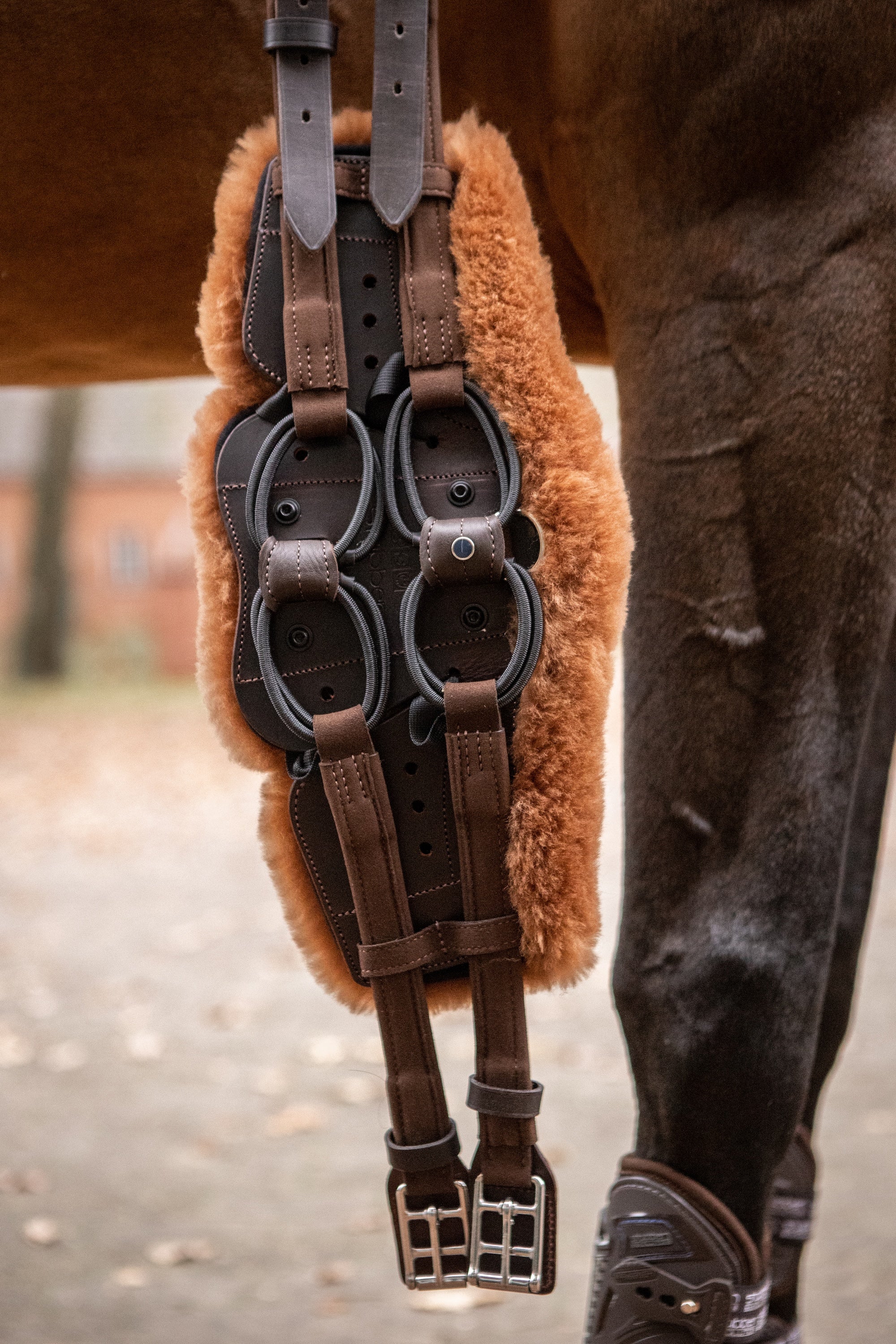 Stübben Equi-Soft Lammfellpolster by Mattes in der Farbe Whiskey, kombiniert mit einem Equi-Soft Sattelgurt in Ebony, geöffnet am Pferd während des Auf- oder Absattelns. Das harmonische Zusammenspiel von braunem Lammfell und dunklem Leder zeigt die hochwertige Passform und den pferdefreundlichen Komfort.