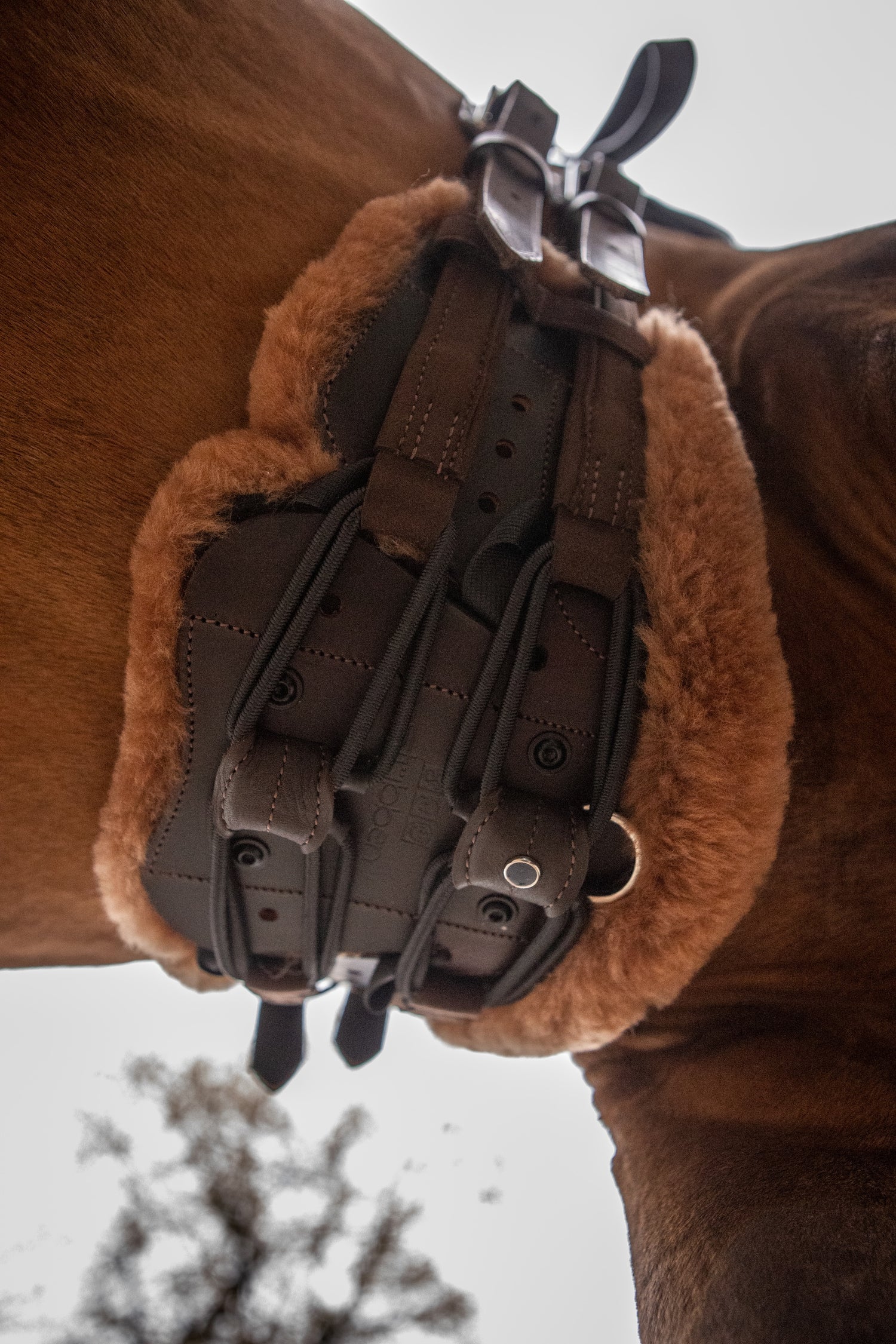 Stübben Equi-Soft® Polster by Mattes für Sattelgurt Lammfell whiskey