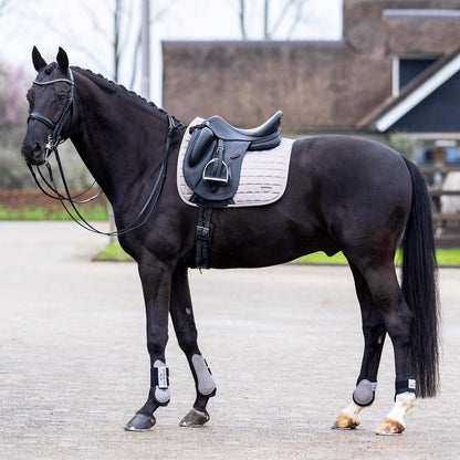 Die Dressurschabracke HVPDewi von HV Polo sieht auf einem Rappen, einem schwarzen Pferd sehr elegant aus. Durch das Tageslicht schimmert die glänzende Satin-Oberfläche fast silbern. Zu dunklen Pferden bildet diese einen schönen Farbkontrast. Die kurze D-Ring Befestigung und das Verriegelungssystem der Gurtschlaufen verhindert ein Verrutschen der Schabracke unter dem Sattel. Die Schabracke passt sich dem Pferderücken perfekt an. Ein elegantes, funktionelles Dressuroutfit für das Pferd.
