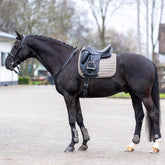 Die HV Polo Schabracke HVP Dewie Dressur in der Farbe stone liegt optimal auf dem Pferderücken. Passt perfekt zu dem schwarzen Dressurpferd mit Sattel. Der Sattel ist am oberen D-Ring befestigt. Der Sattelgurt ist durch die Gurtschlaufen mit Verriegelungssystem geführt. Die HVP Dewi Schabracke ist klassisch und edel. Die Sattelunterlage lässt sich mit dunklen Farben vielseitig kombinieren.