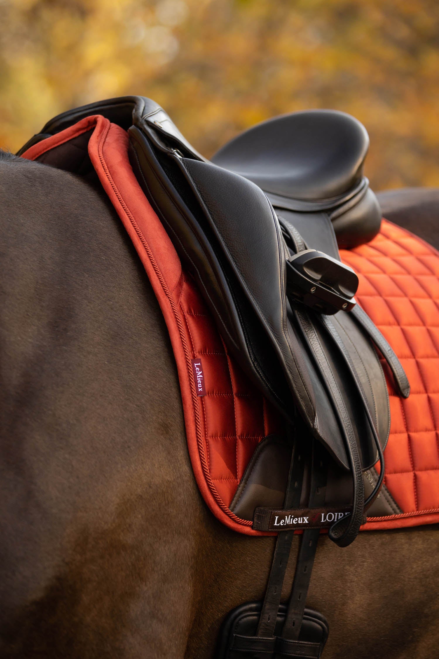 LeMieux Schabracke Loire Memory Satin Dressage Square sienna