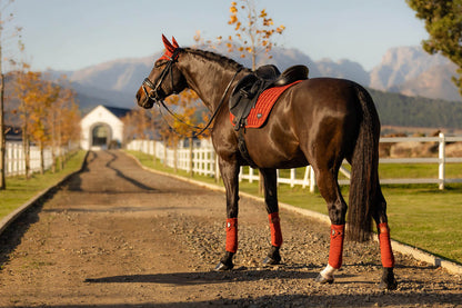 LeMieux Schabracke Loire Memory Satin Dressage Square sienna