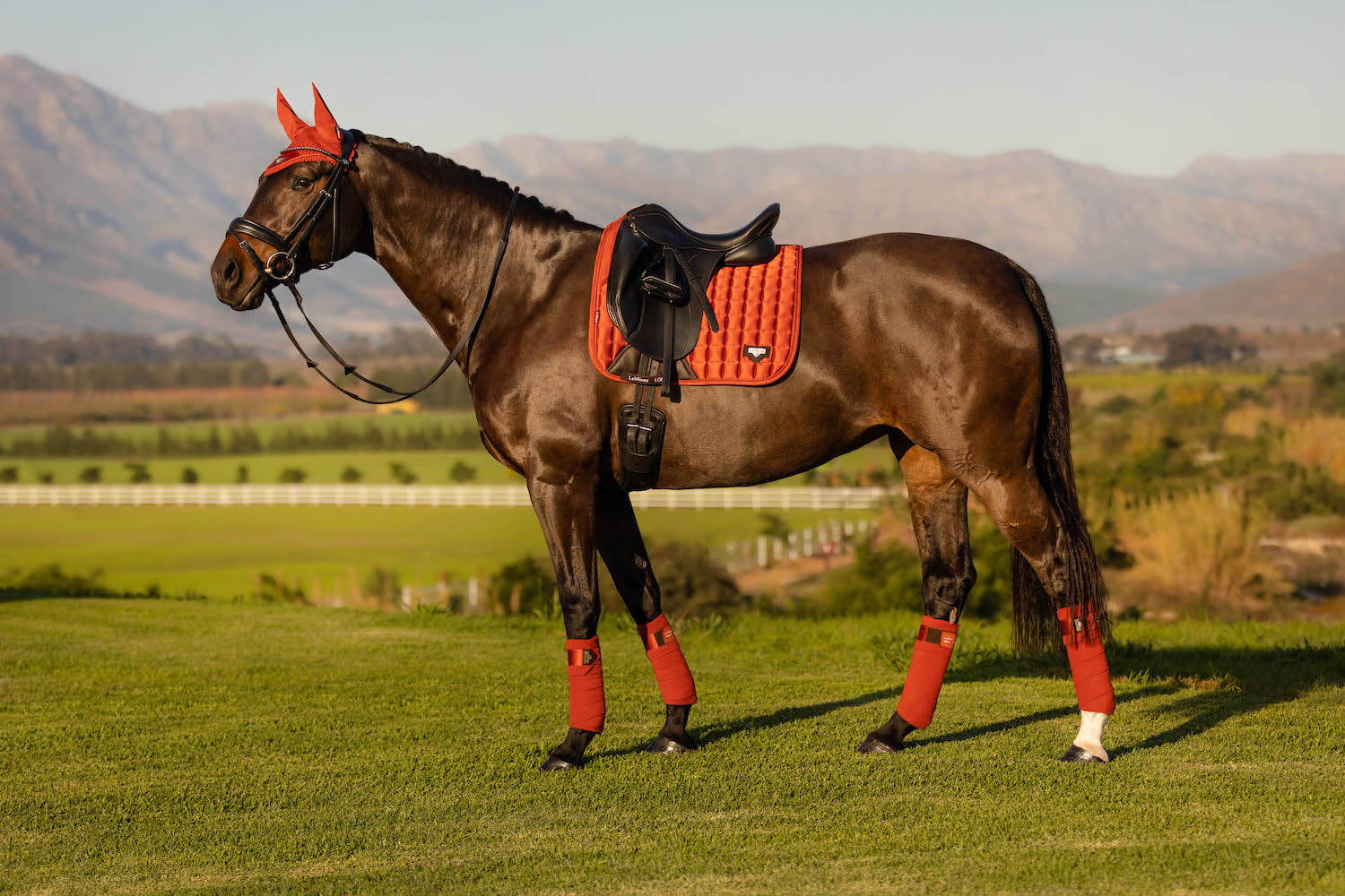 LeMieux Schabracke Loire Memory Satin Dressage Square sienna