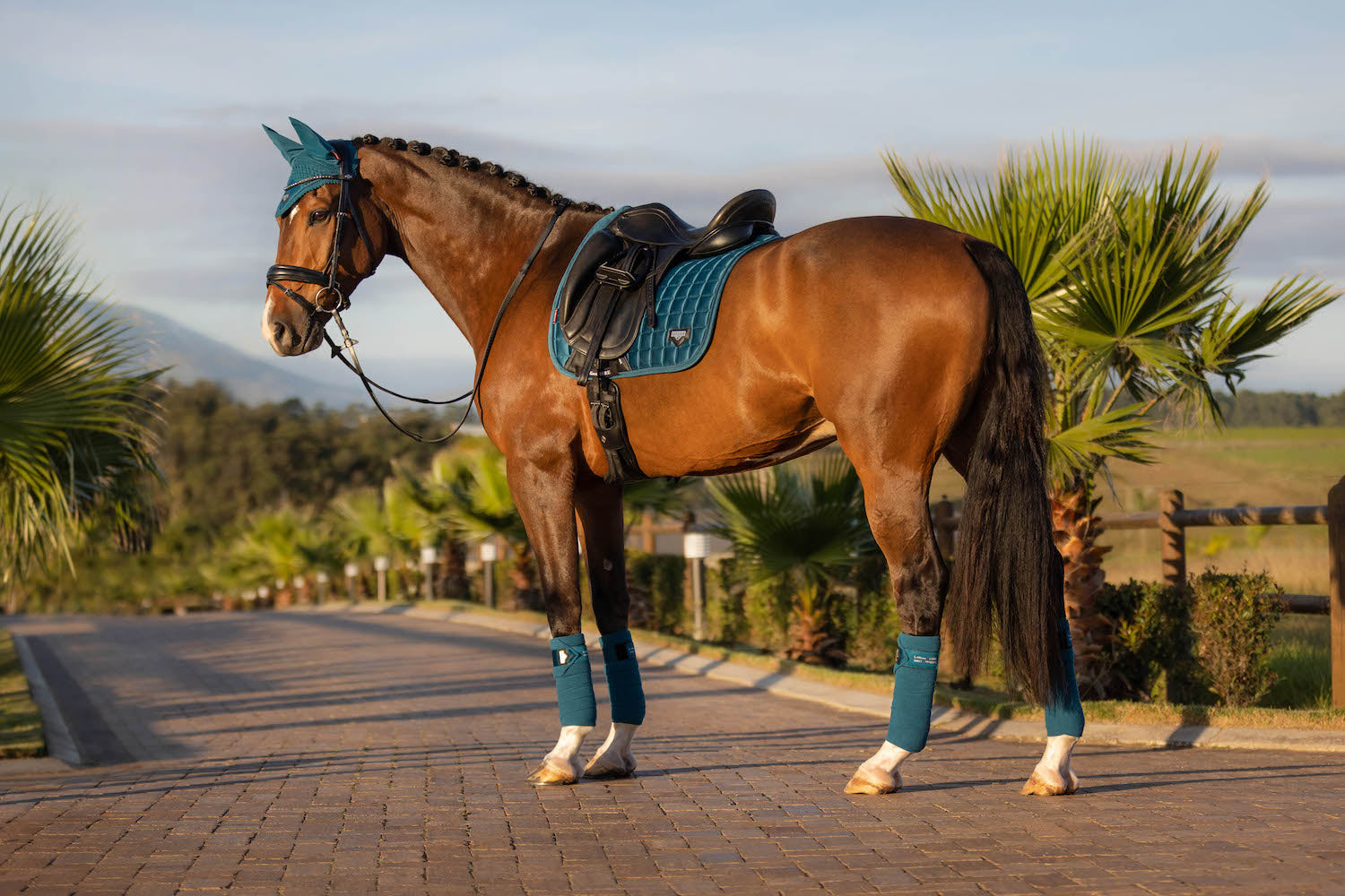 LeMieux saddle pad Loire Memory Satin Dressage Square marine