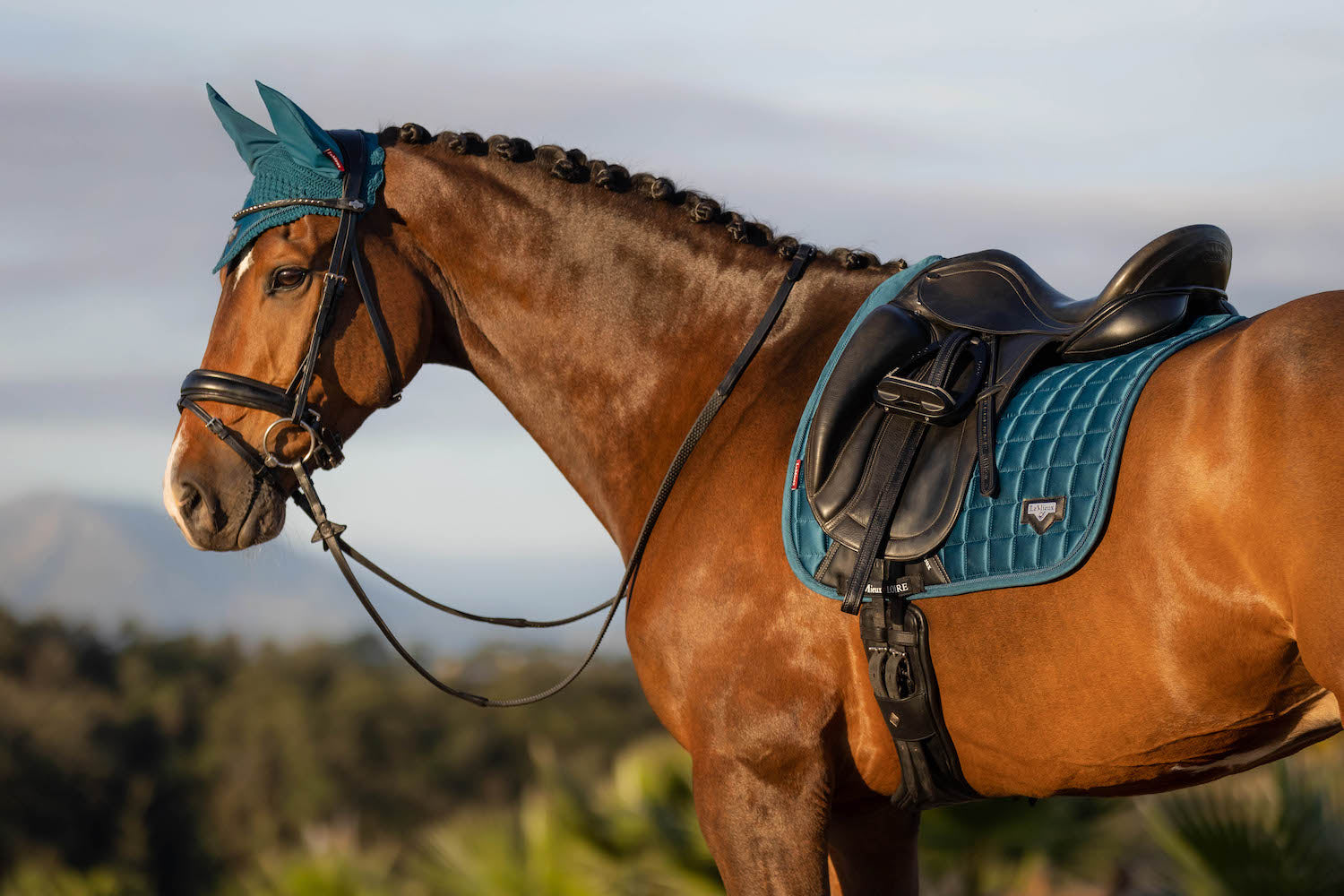 LeMieux Schabracke Loire Memory Satin Dressage Square marine