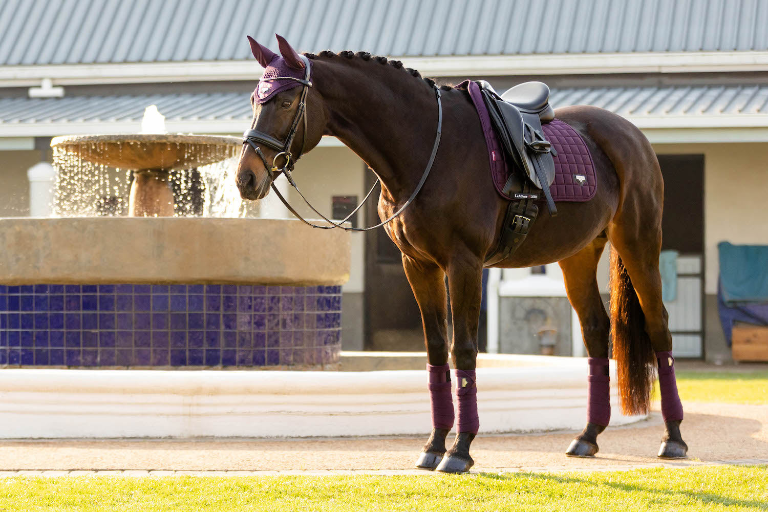 LeMieux Schabracke Loire Memory Satin Dressage Square fig