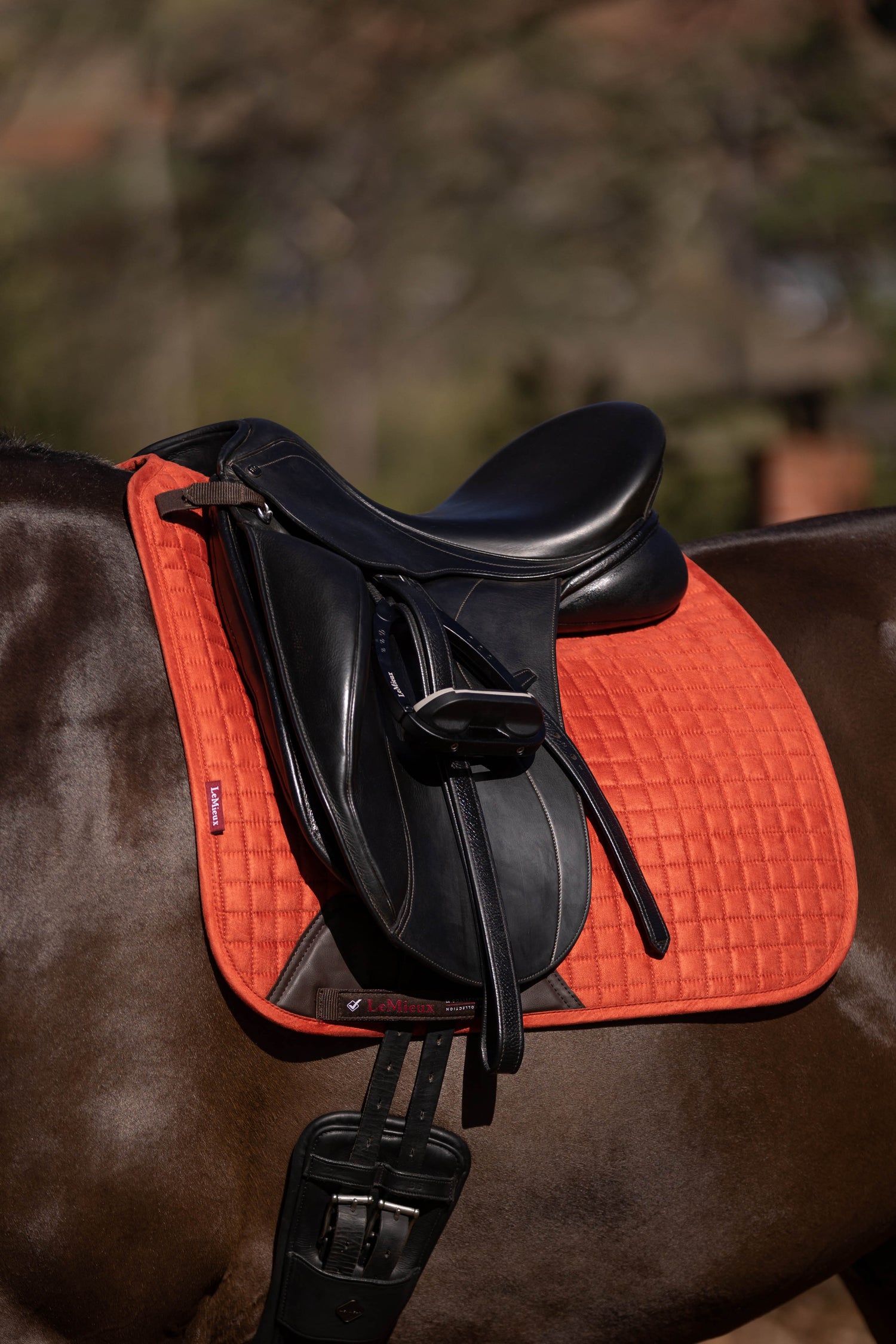 LeMieux Schabracke Luxury Suede Dressage Square sienna