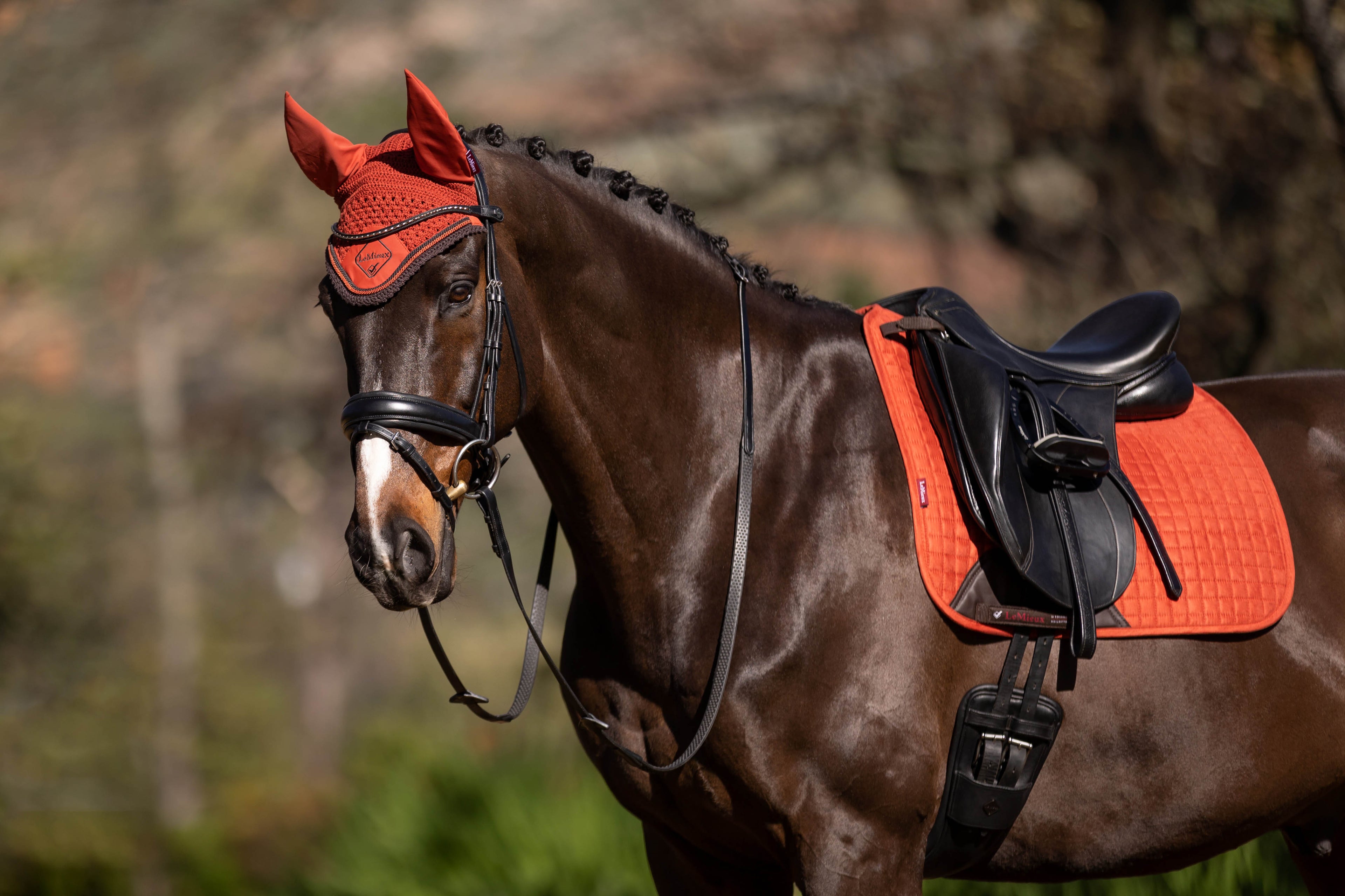 LeMieux Schabracke Luxury Suede Dressage Square sienna