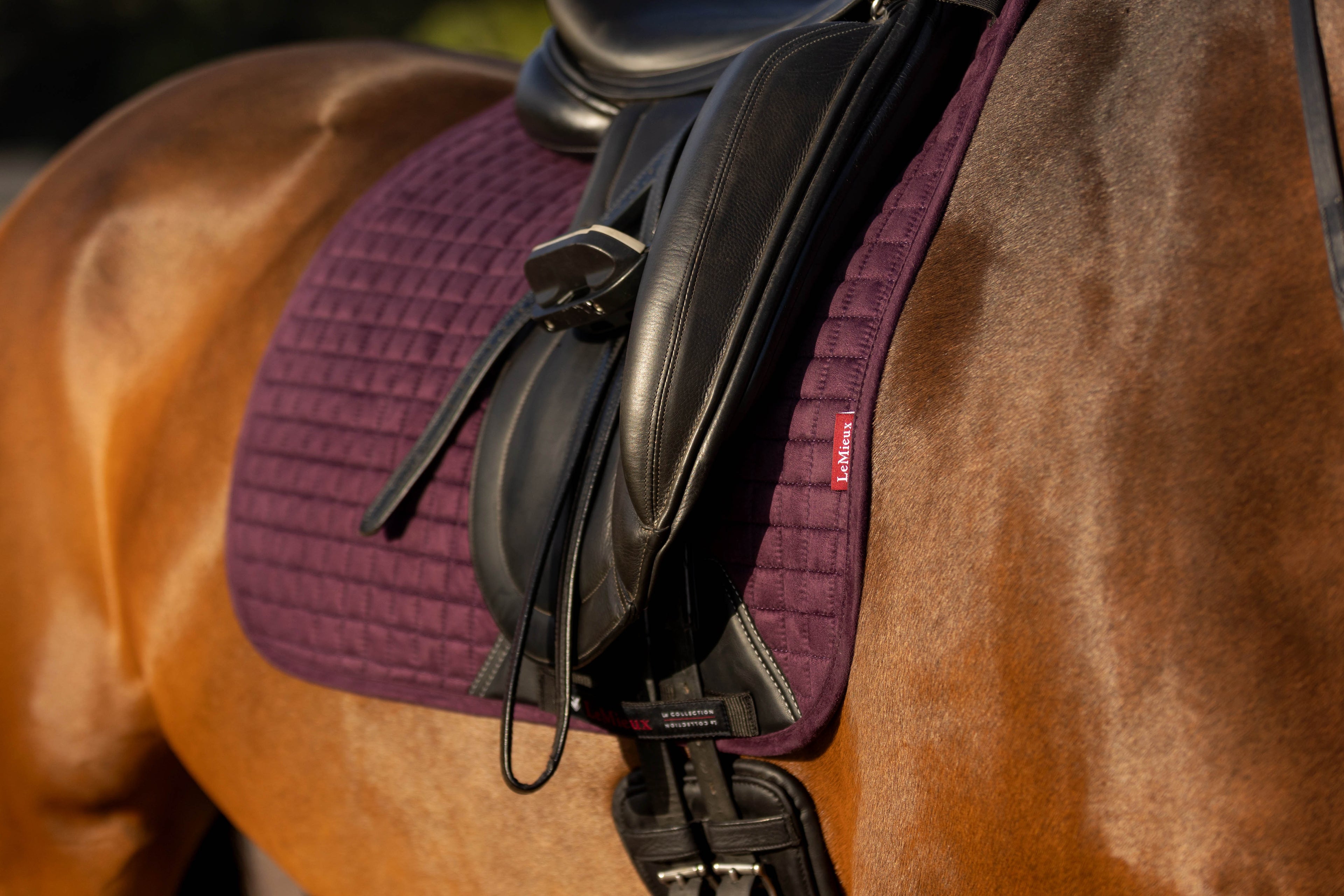 LeMieux Schabracke Luxury Suede Dressage Square fig