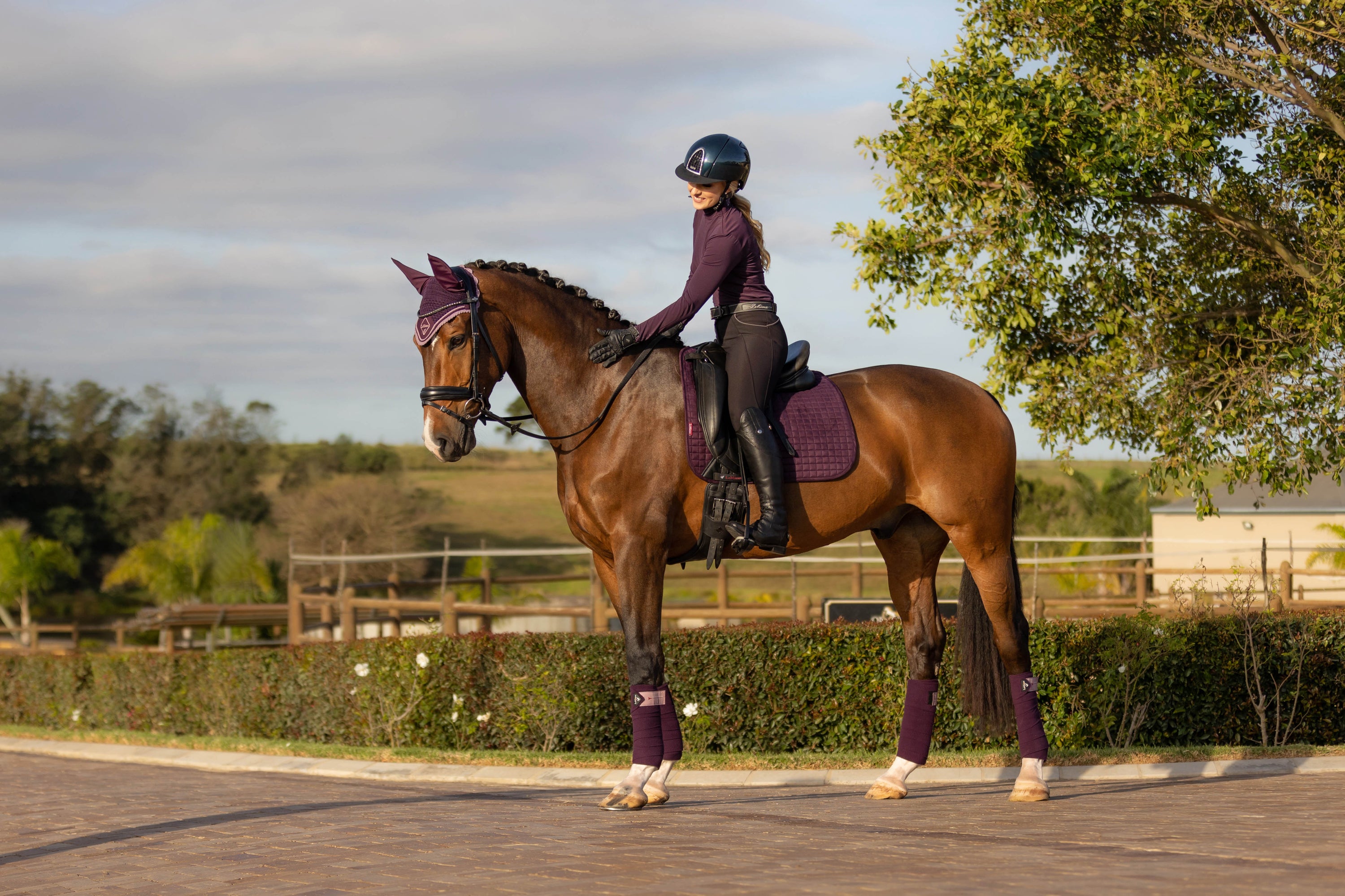 LeMieux saddle pad Luxury Suede Dressage Square fig