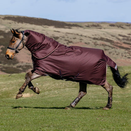 LeMieux Outdoordecke Arika Ripstop Turnout Rug mit Halsteil 200 g bramble