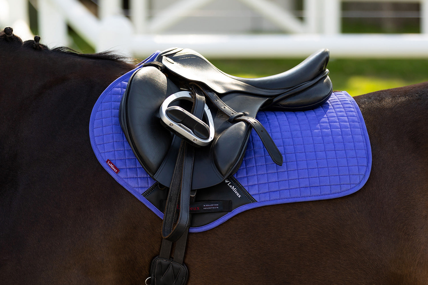 LeMieux saddle pad Luxury Suede Close Contact Square bluebell
