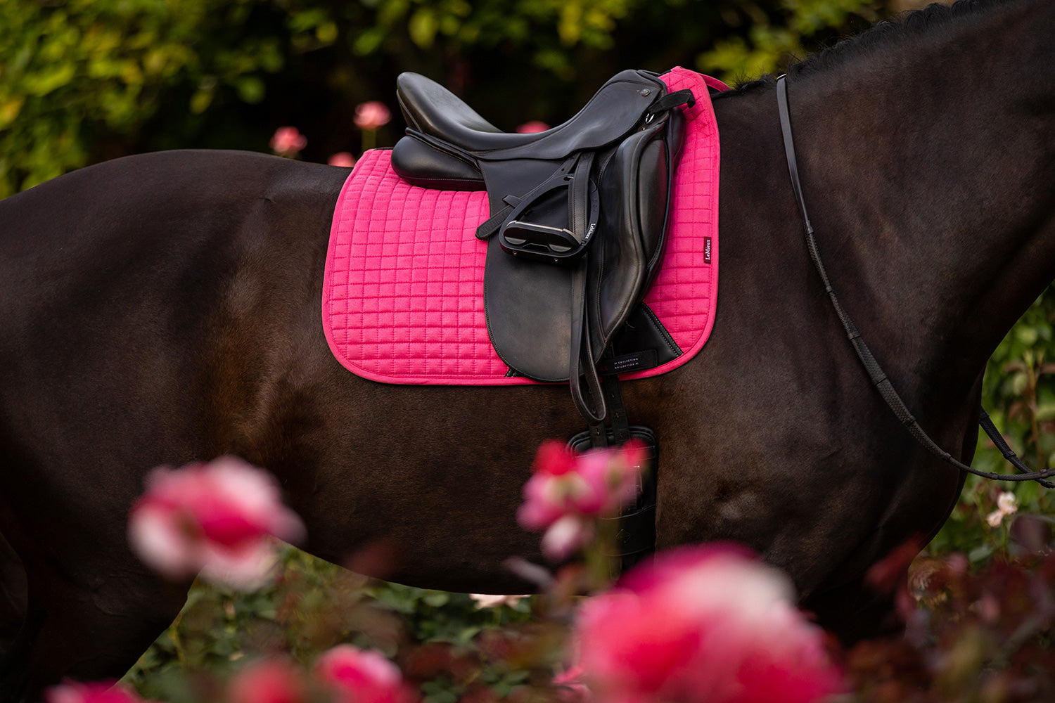 LeMieux Schabracke Luxury Suede Dressage Square watermelon