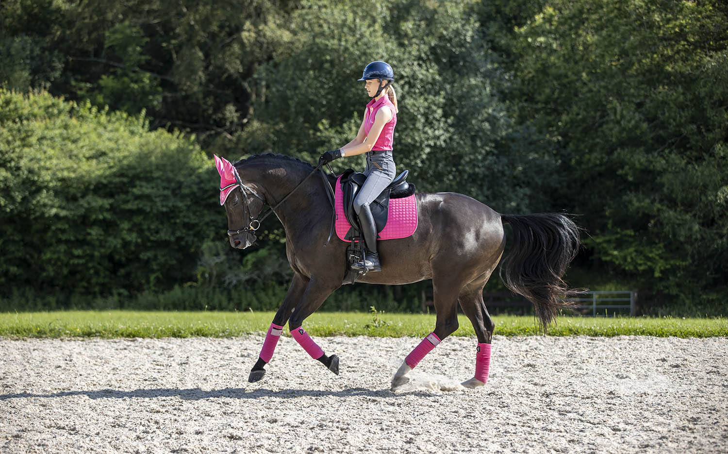 LeMieux Schabracke Luxury Suede Dressage Square watermelon