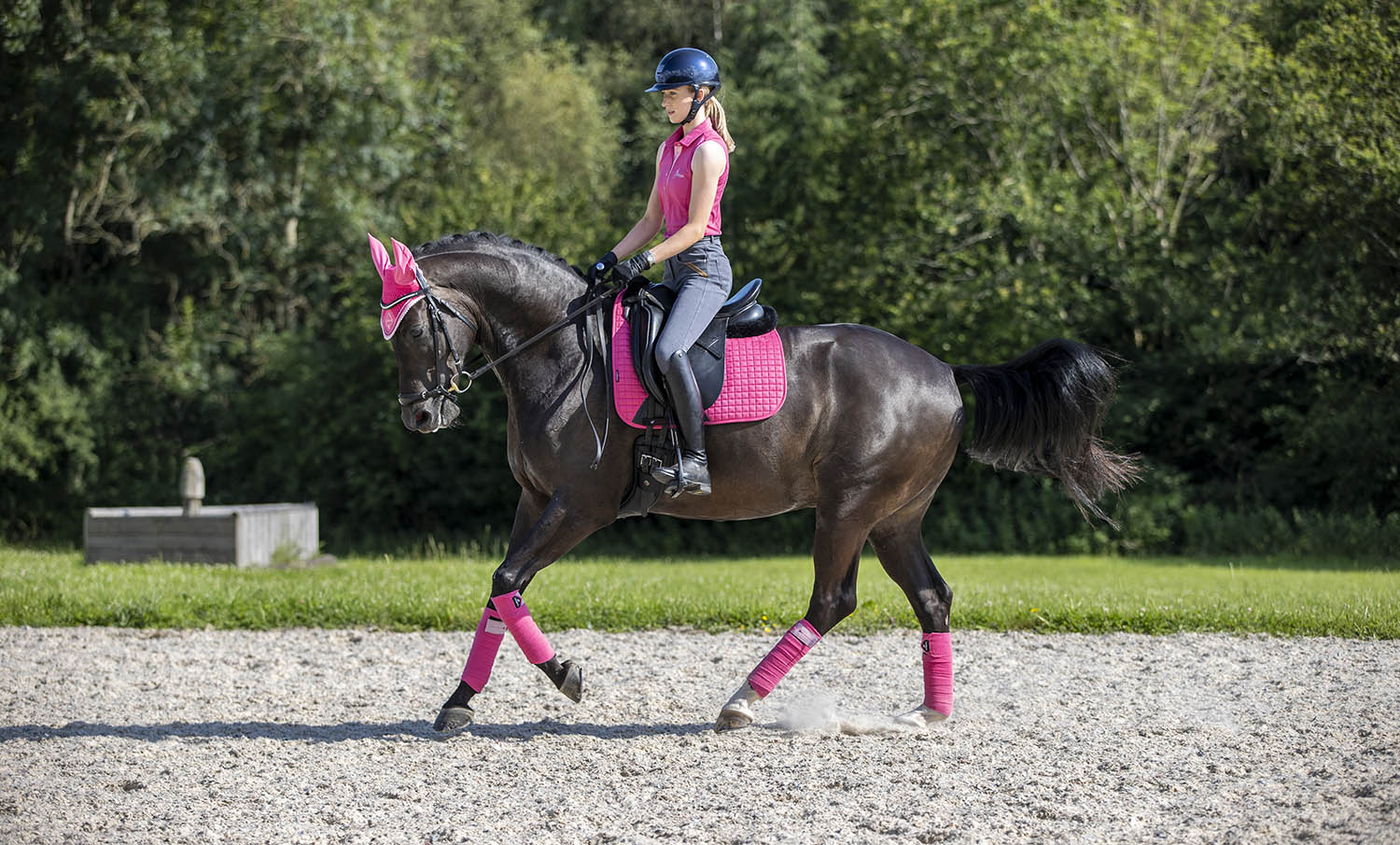 LeMieux Schabracke Luxury Suede Dressage Square watermelon
