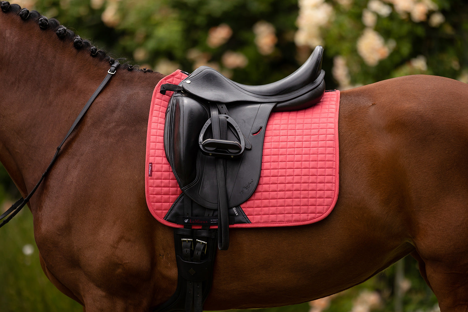 LeMieux saddle pad Luxury Suede Dressage Square papaya