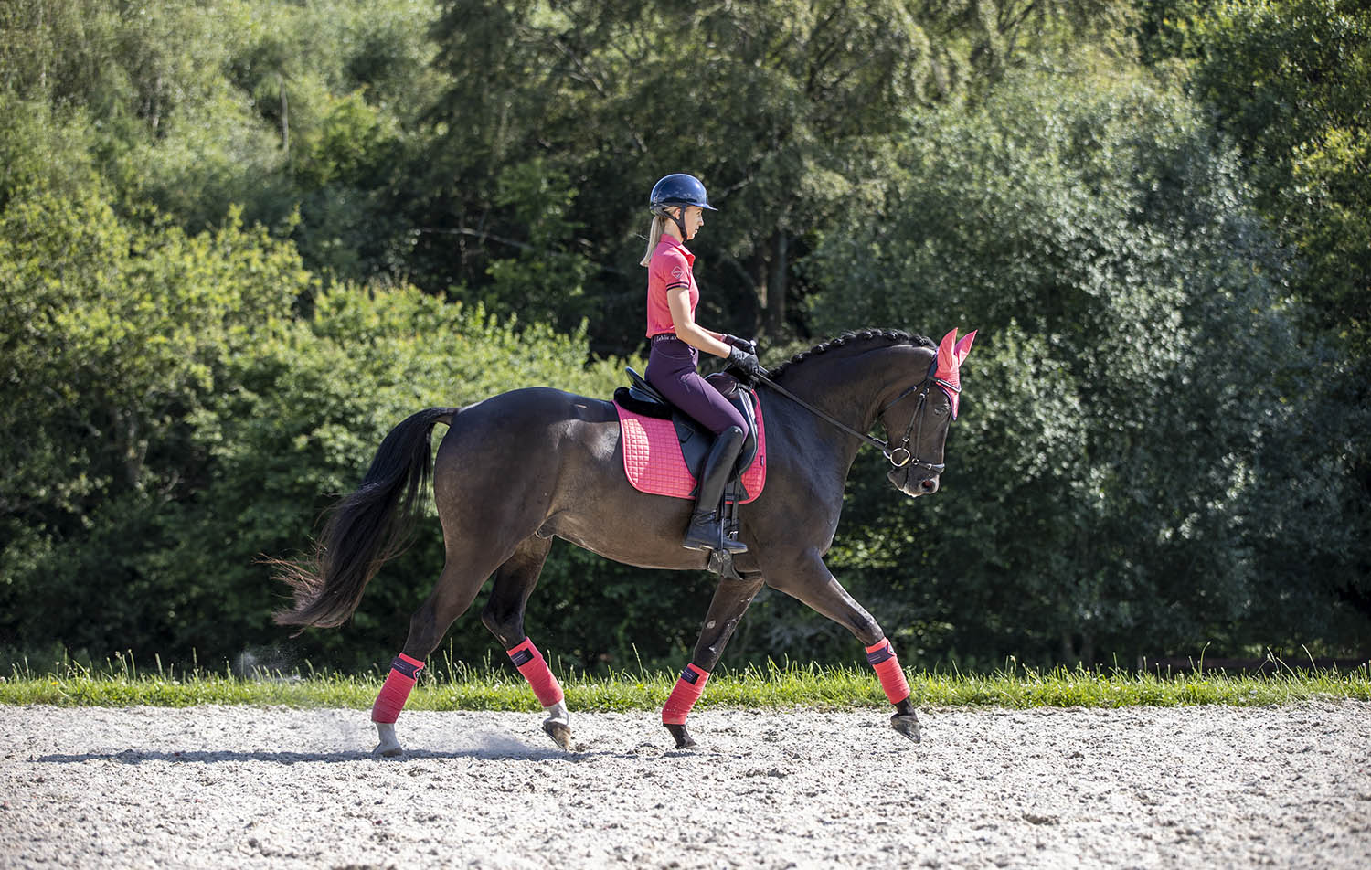 LeMieux Schabracke Luxury Suede Dressage Square papaya
