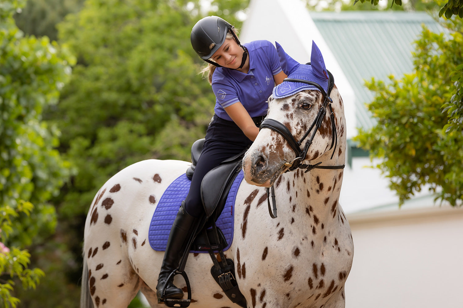 LeMieux saddle pad Luxury Suede Dressage Square bluebell