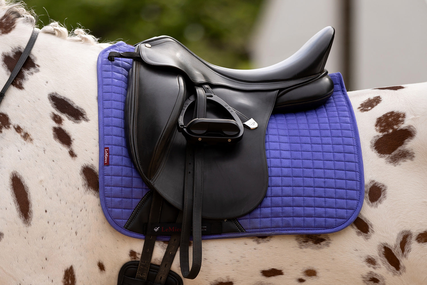 LeMieux saddle pad Luxury Suede Dressage Square bluebell