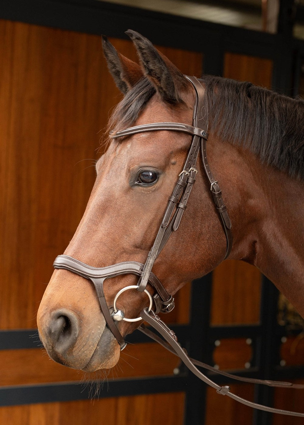 Die Harry’s Horse Trense Anatomic in Braun sitzt perfekt am Pferdekopf mit Gebiss und Zügeln und zeigt die anatomische Schnittführung besonders am Nasenriemen für eine optimale Funktion und gleichmäßige Druckverteilung. Der Kinnriemen sorgt für eine ruhige Lage des Gebisses.