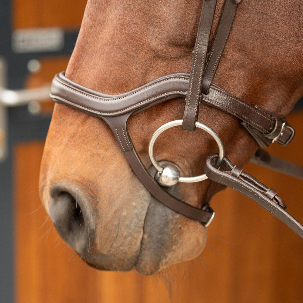 Das Detailbild der Harry’s Horse Trense Anatomic Braun zeigt den geschwungenen anatomischen Nasenriemen, der sensible Nervenaustrittspunkte am Pferdekopf gezielt aussparrt und den Druck pferdefreundlich verteilt.