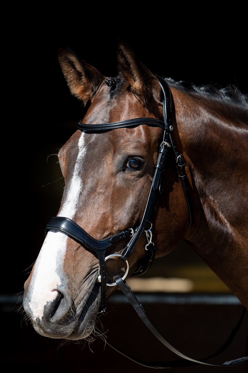 Harry’s Horse Trense Release in Schwarz korrekt verschnallt am Pferdekopf, ideal für Training und Alltag, mit pferdefreundlicher Druckverteilung und anatomischer Passform.