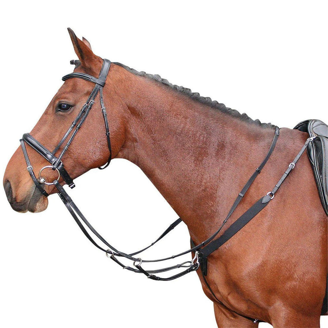 Harry’s Horse Elastisches Vorderzeug schwarz