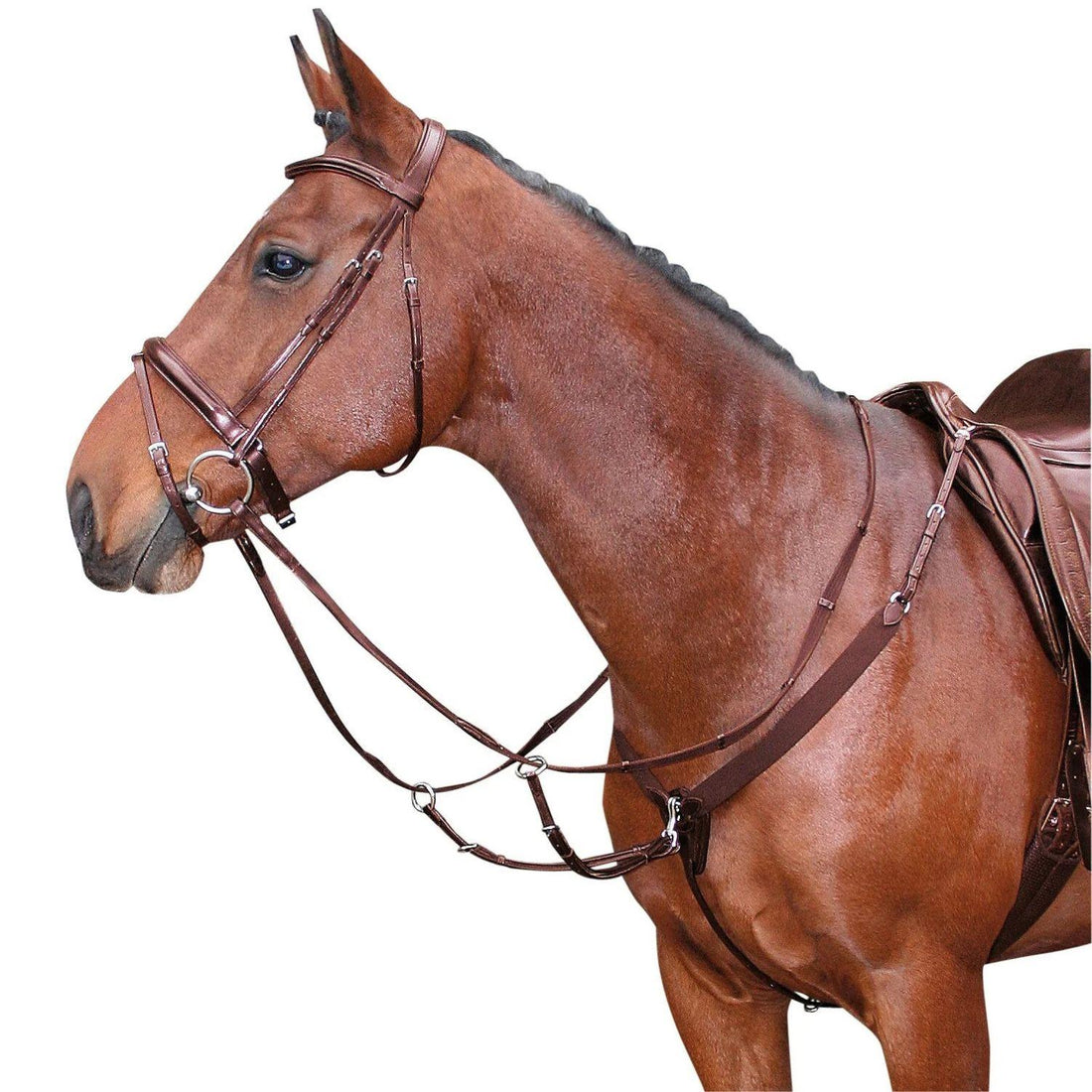 Harry’s Horse Elastisches Vorderzeug braun