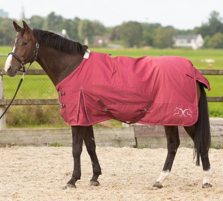 Harry’s Horse Outdoordecke Thor 0 g Fleece in Rhododendron auf Pferd – wasserdichte 600 Denier Weidedecke und Paddockdecke, atmungsaktiv, reißfest, perfekte Passform für Ponys und Pferde, idealer Schutz vor Regen, Wind und Schnee. Mit Gehfalten, Schweiflatz und gekreuzten Bauchgurten. 