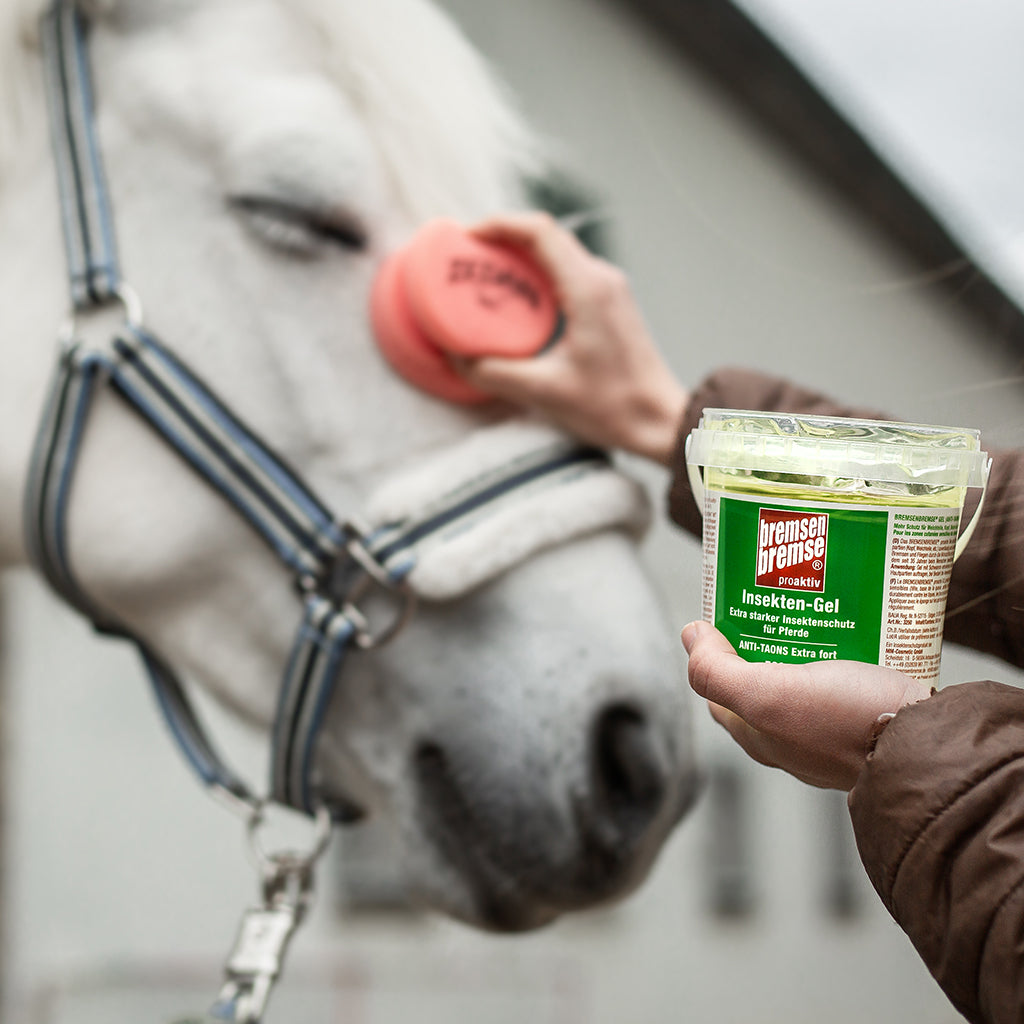 BREMSENBREMSE proaktiv Insekten-Gel 500ml Dose mit Schwamm Anwendung Pferd
